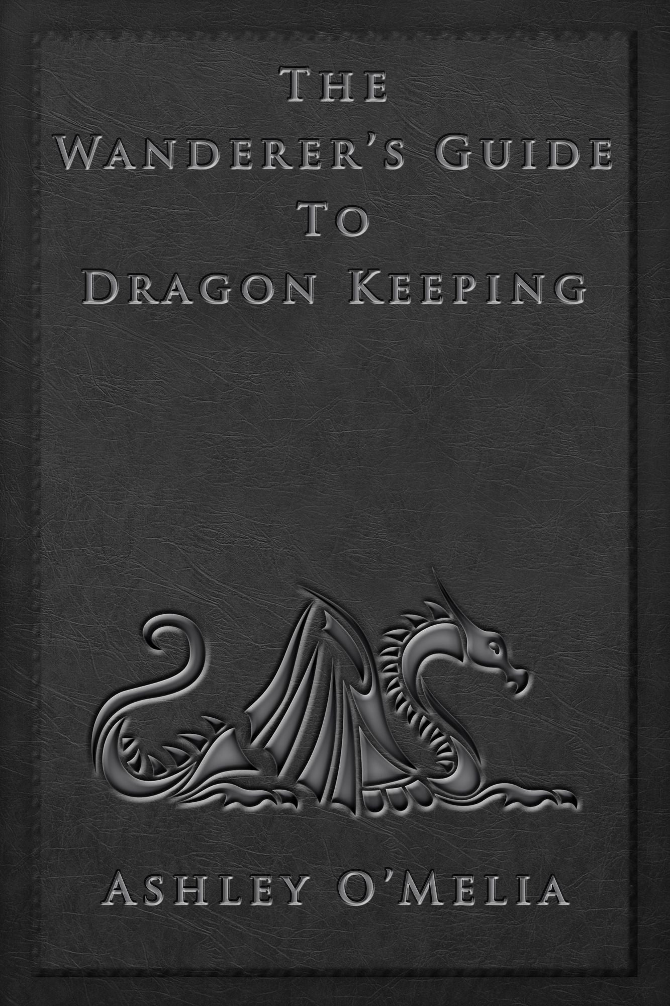 The Wanderer's Guide to Dragon Keeping