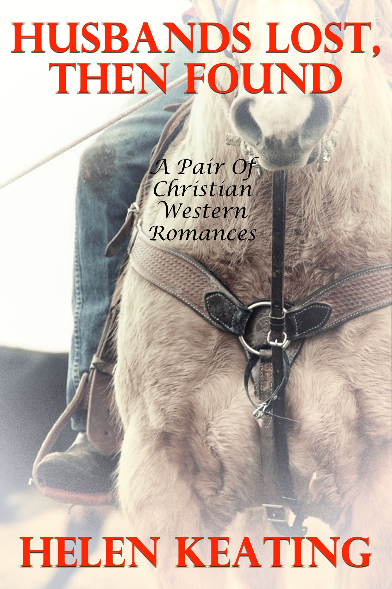 Husbands Lost, Then Found (A Pair Of Christian Western Romances)
