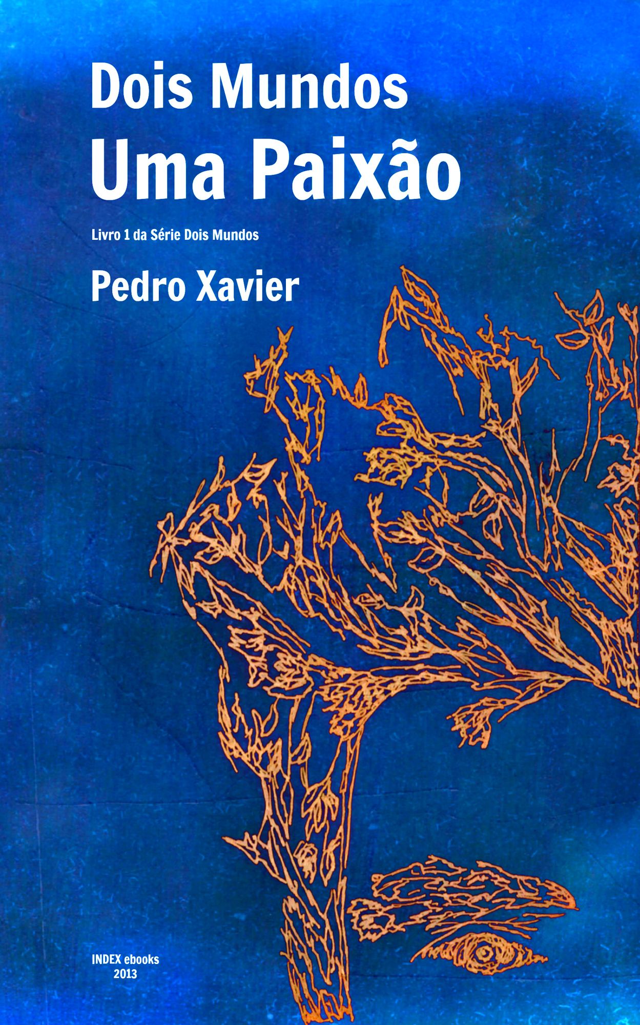 Dois Mundos, Uma Paixão