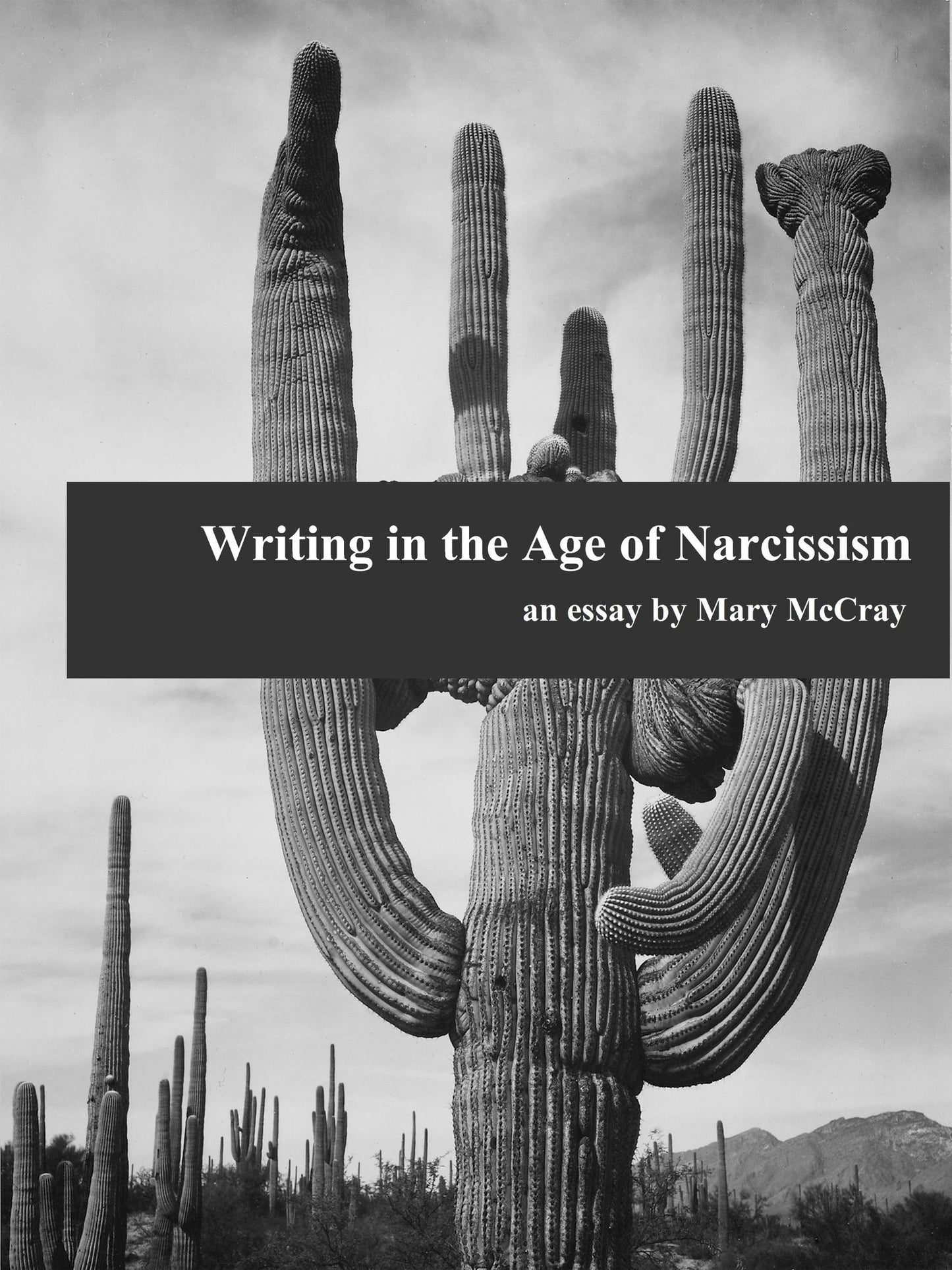 Writing in the Age of Narcissism
