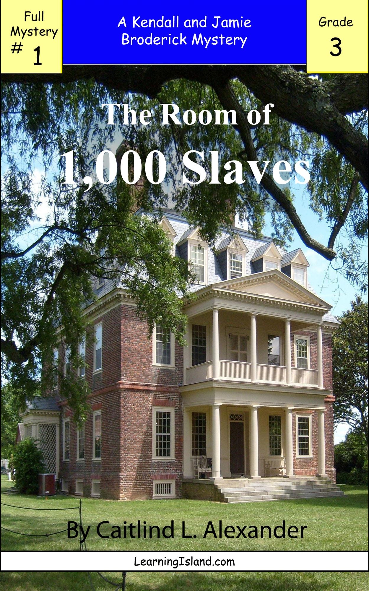 The Room of 1,000 Slaves: A Full-length Broderick Mystery