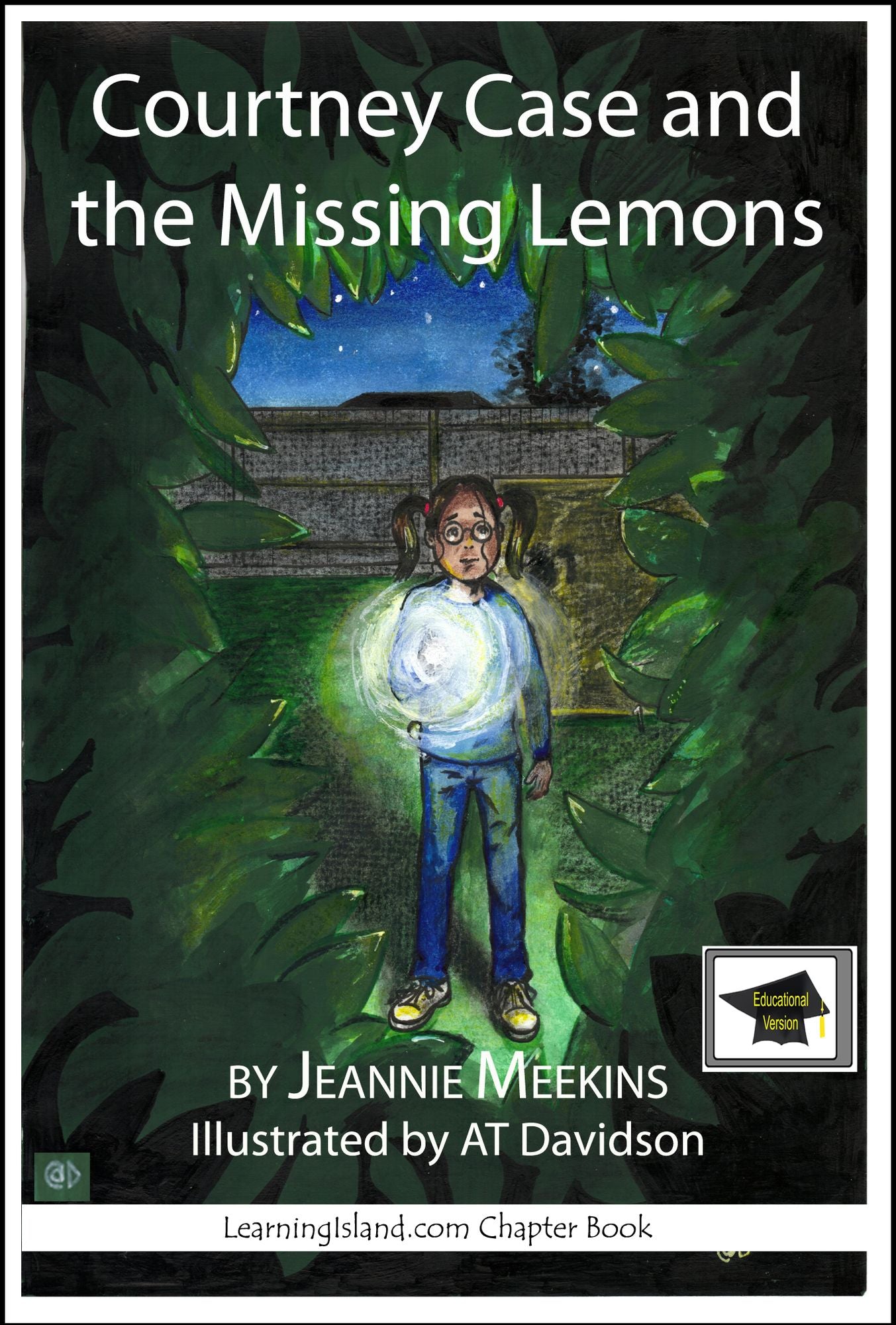Courtney Case and the Missing Lemons: Educational Version