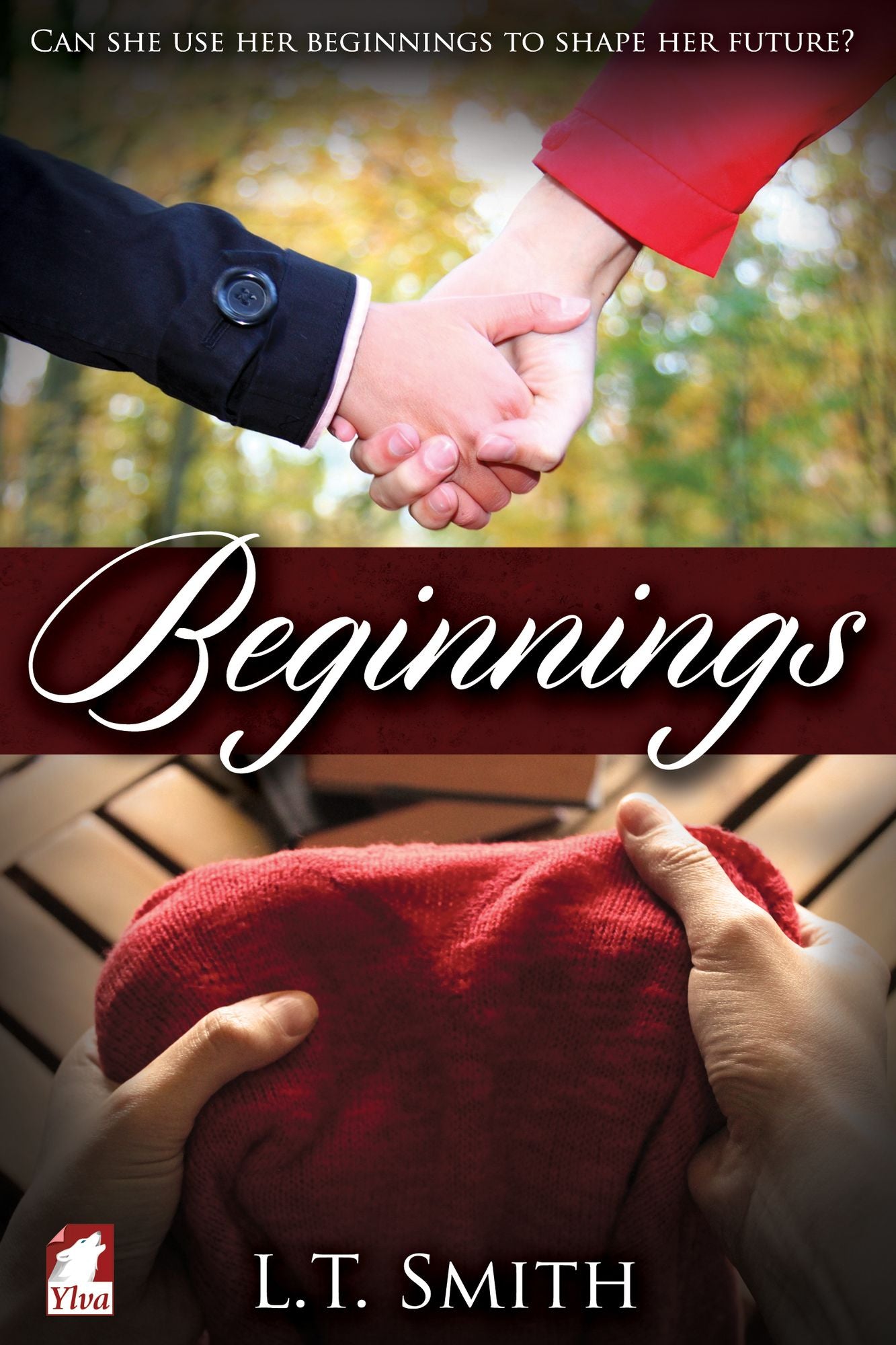 Beginnings
