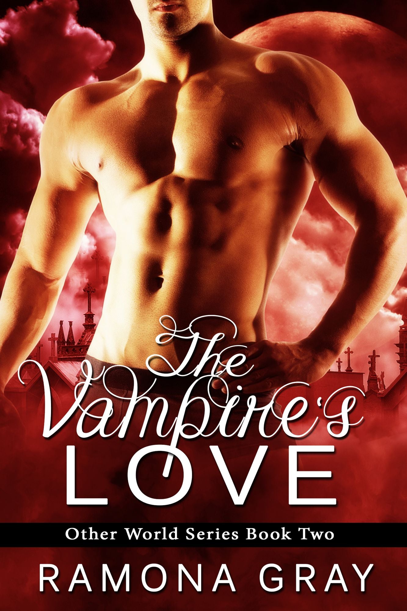 The Vampire's Love (Other World Series Book Two)