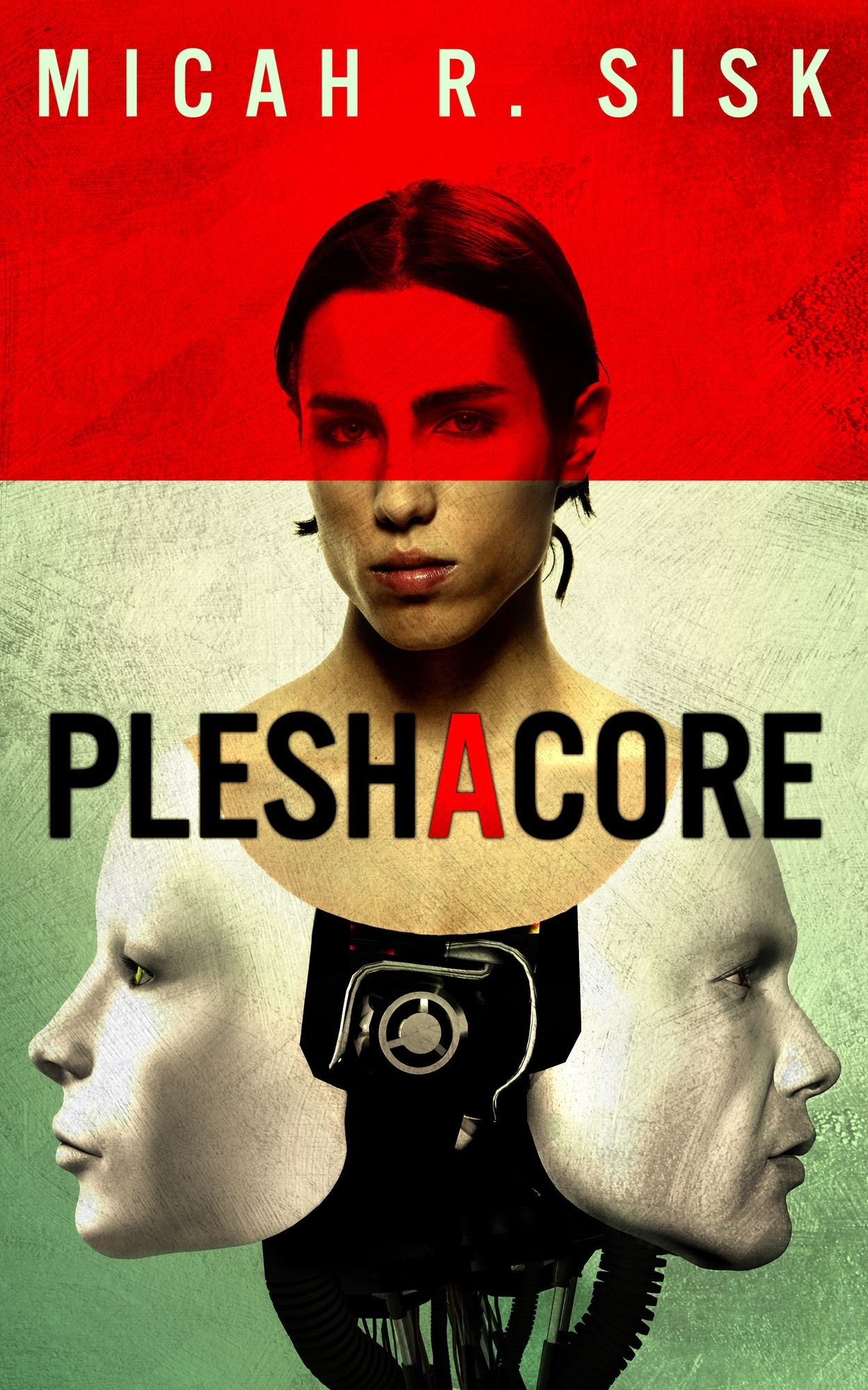 PleshaCore