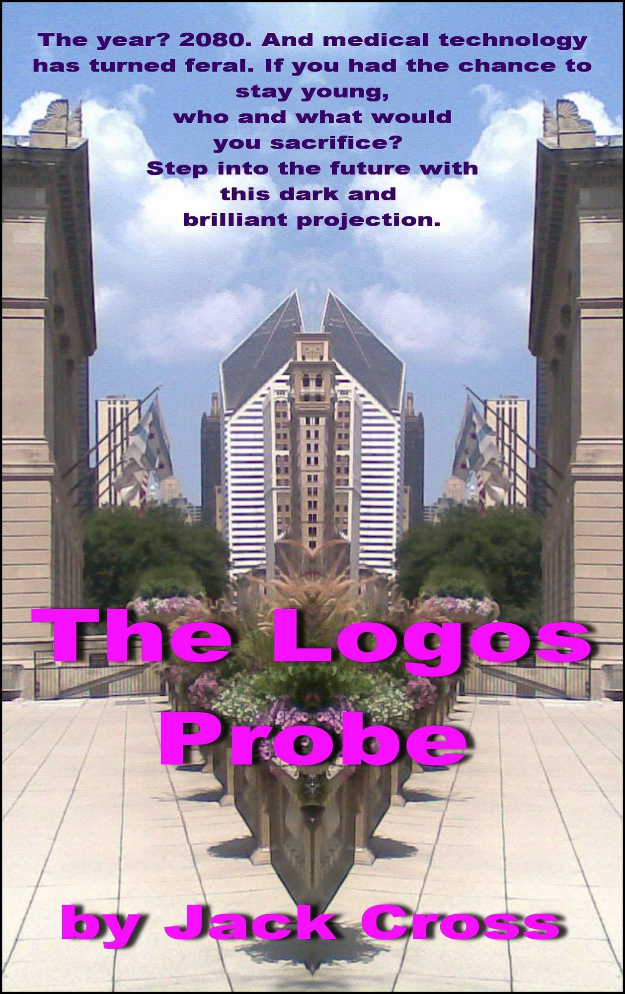 The Logos Probe