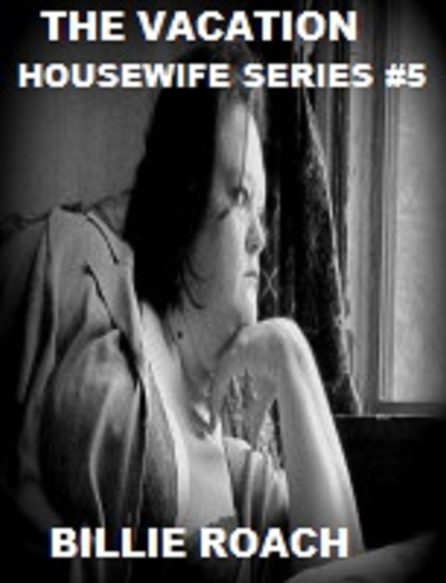 The Vacation: Housewife Series #5