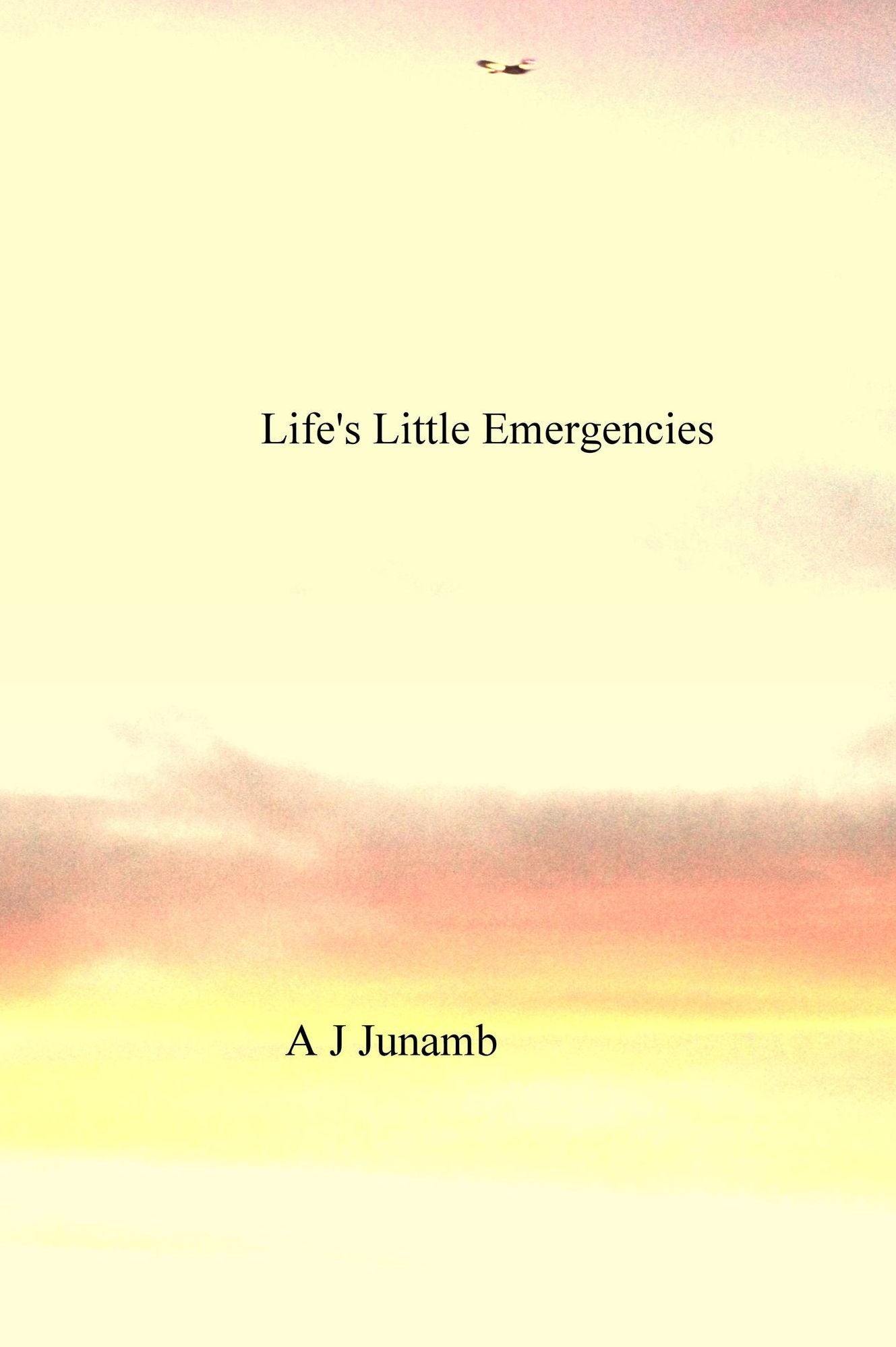 Life's Little Emergencies
