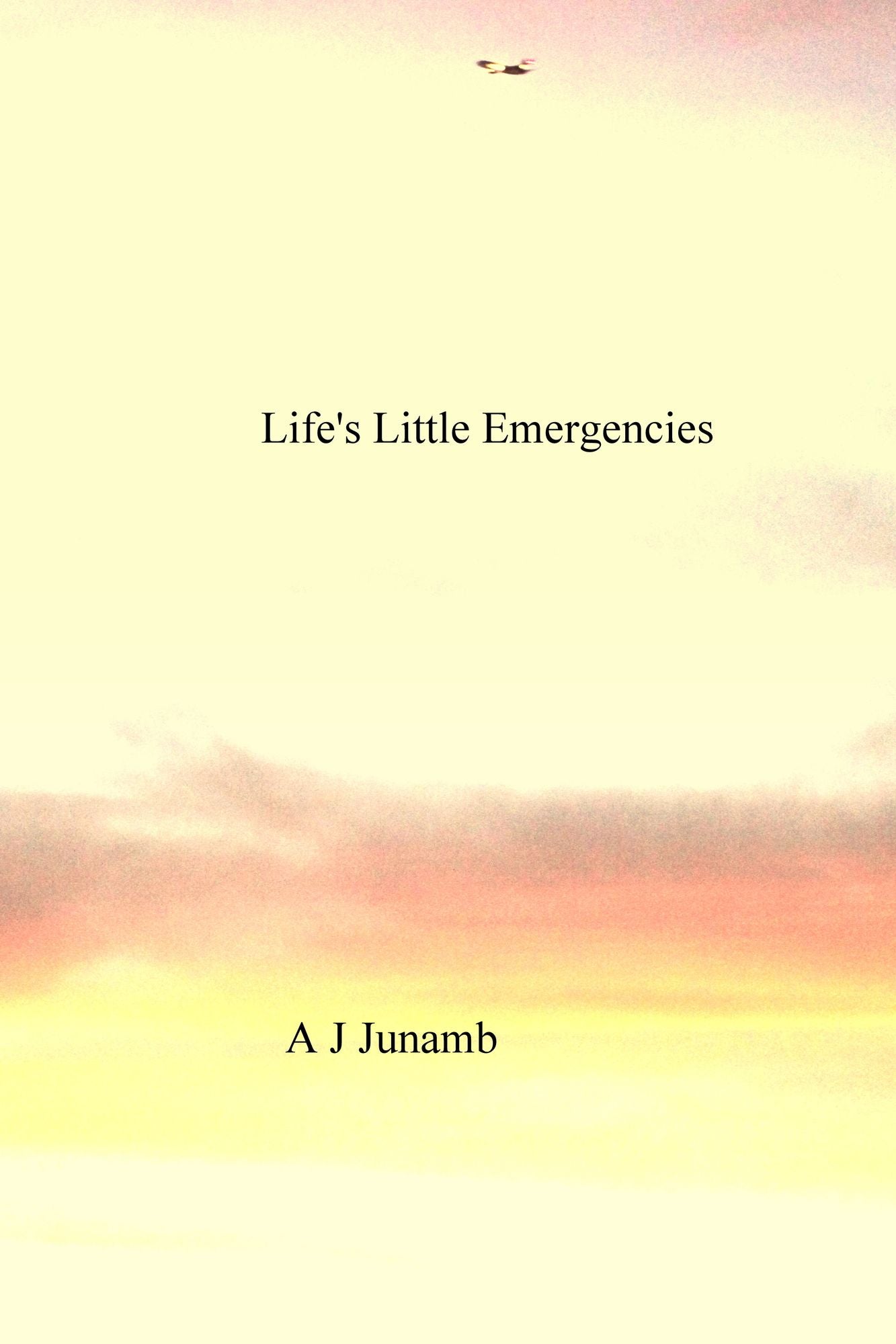 Life's Little Emergencies