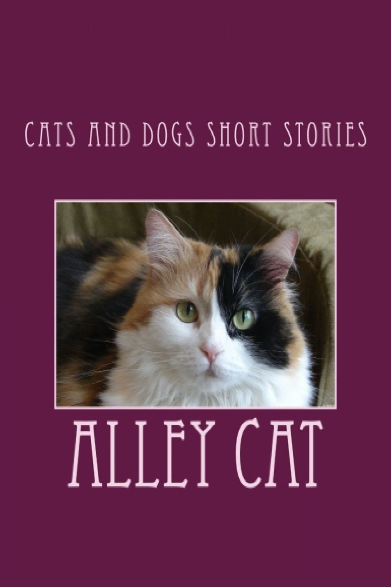 Cats And Dogs Short Stories