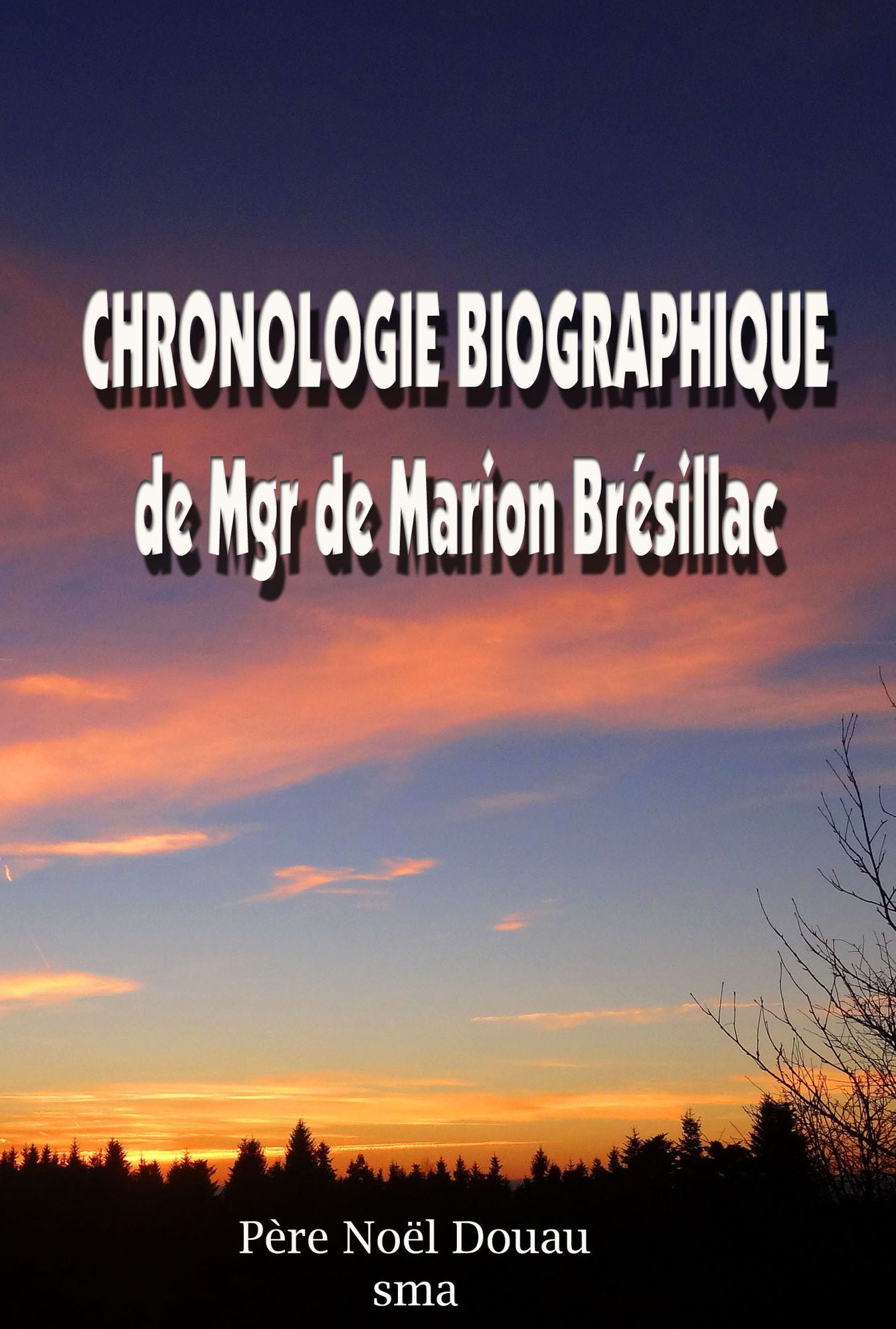 Chronologie biographique de Mgr de Marion Brésillac