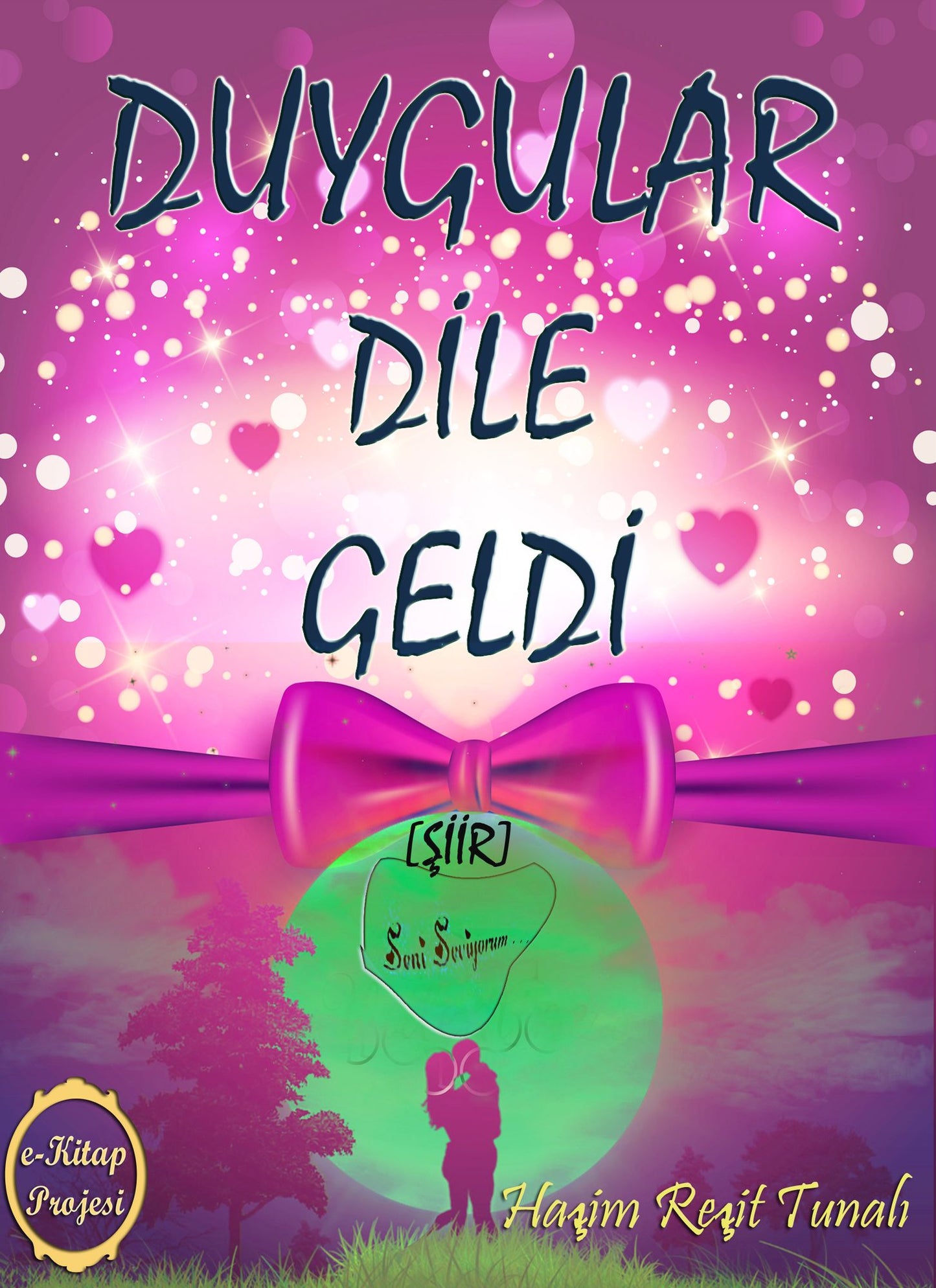 Duygular Dile Geldi