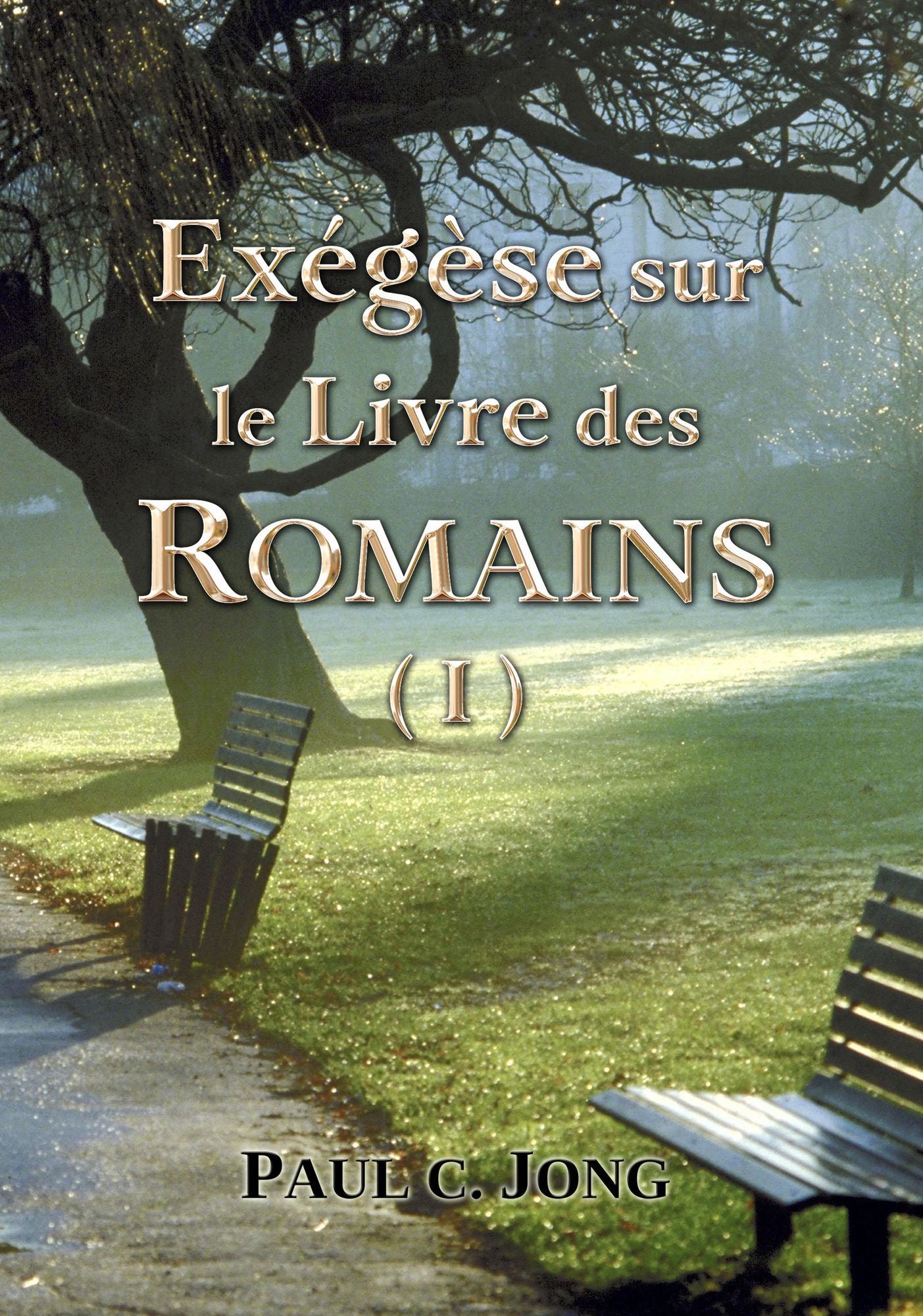 Exégèse sur le Livre des ROMAINS ( I )