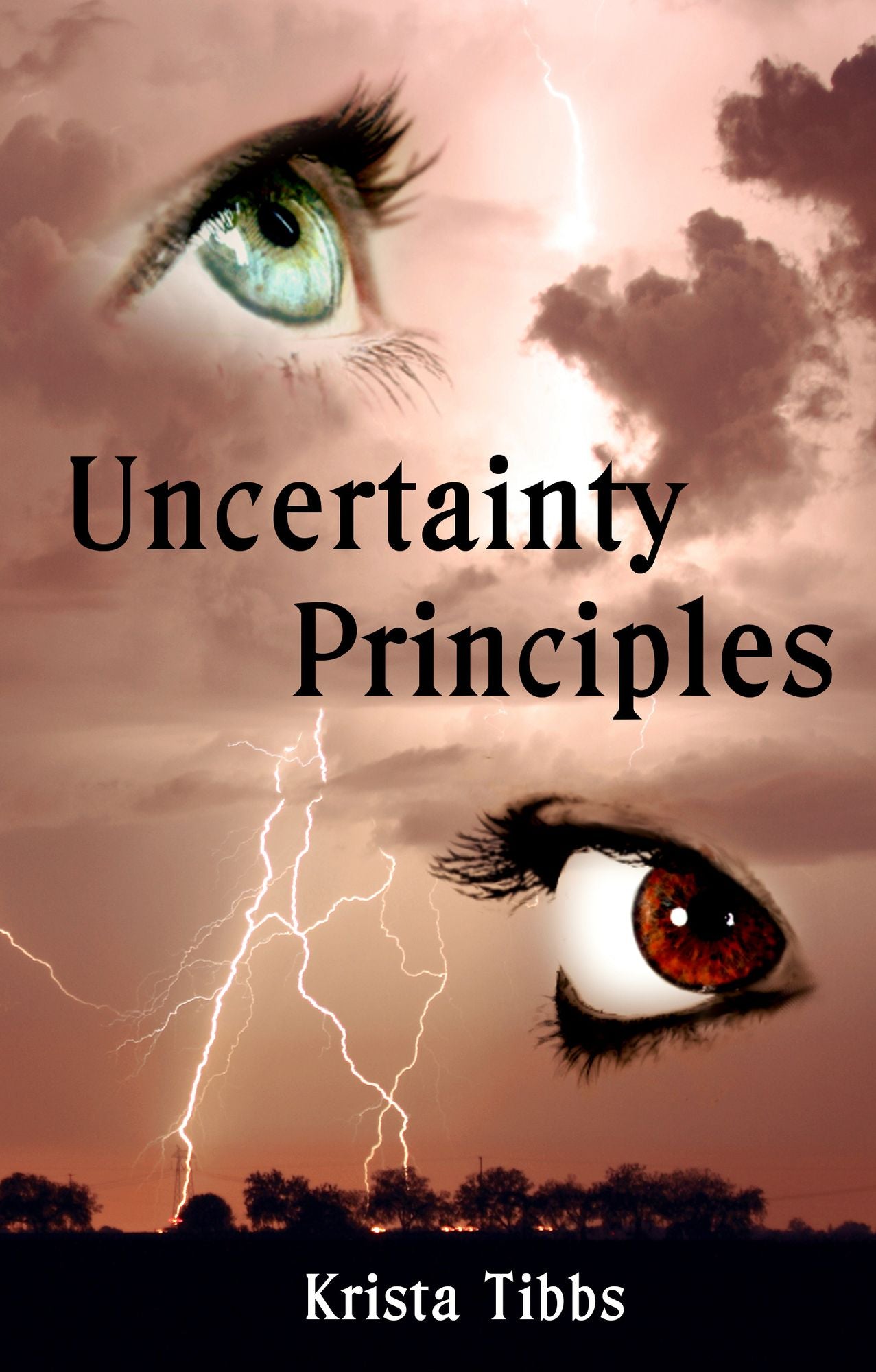 Uncertainty Principles