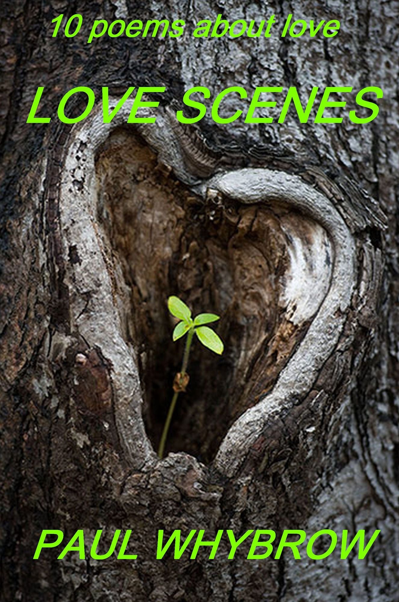 Love Scenes: 10 Poems about Love