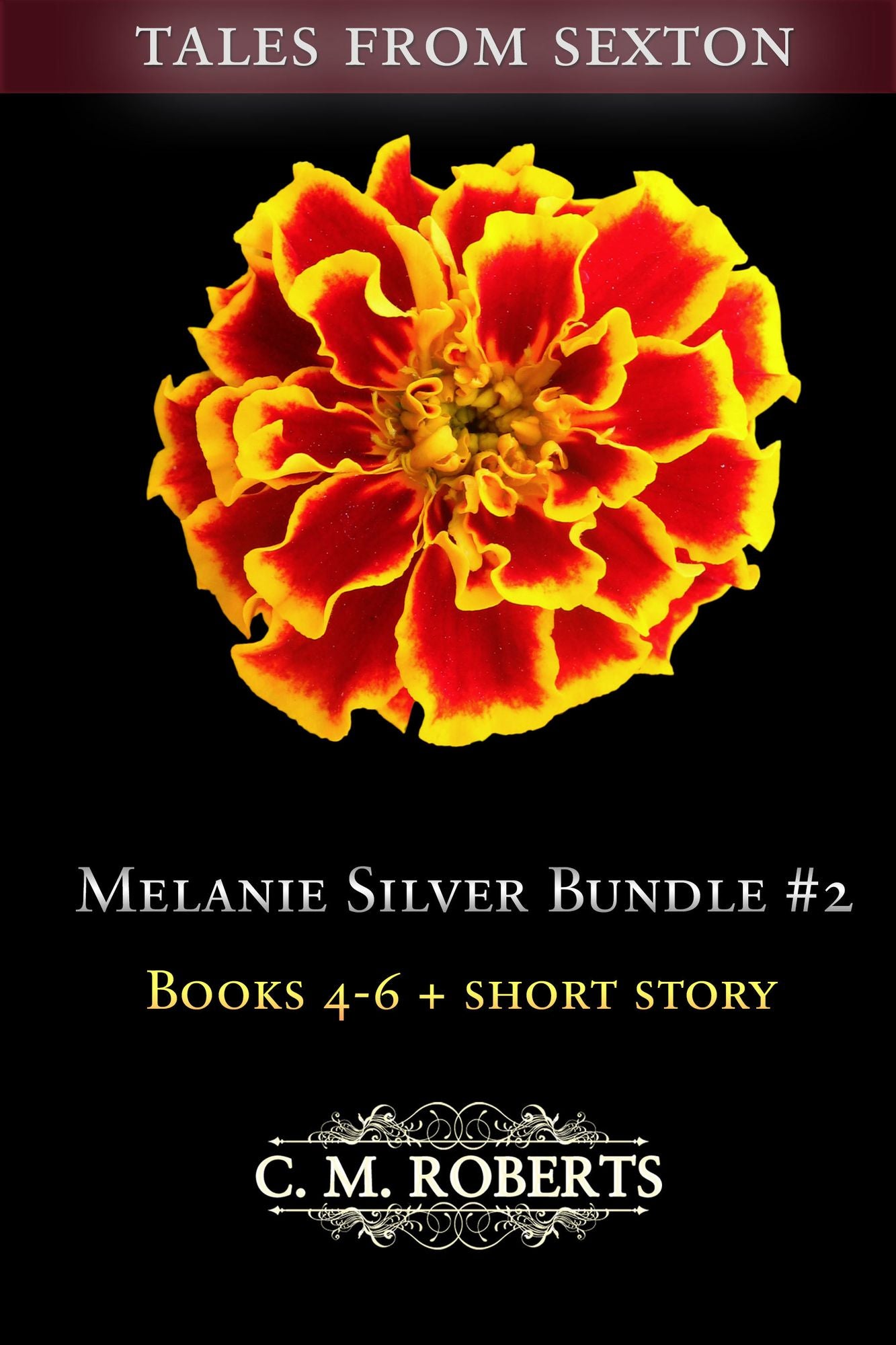 Melanie Silver Bundle #2 (Books 4-6 + Short Story)