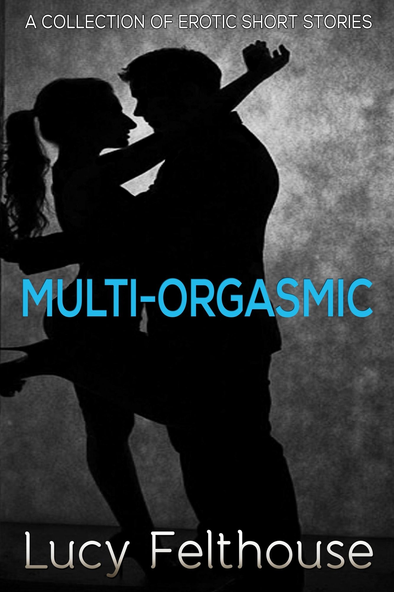 Multi-Orgasmic: A Collection of Erotic Short Stories