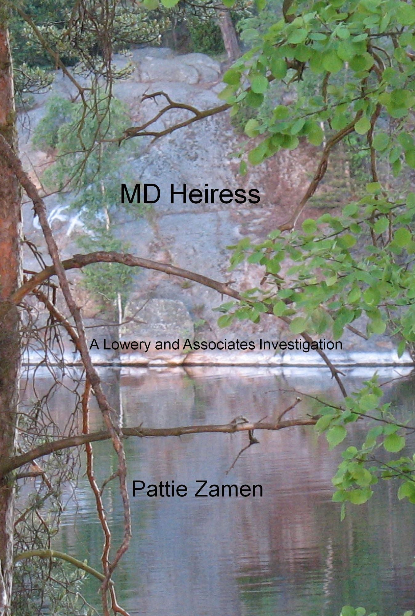 MD Heiress (A Lowery and Associates Investigation Book Two)