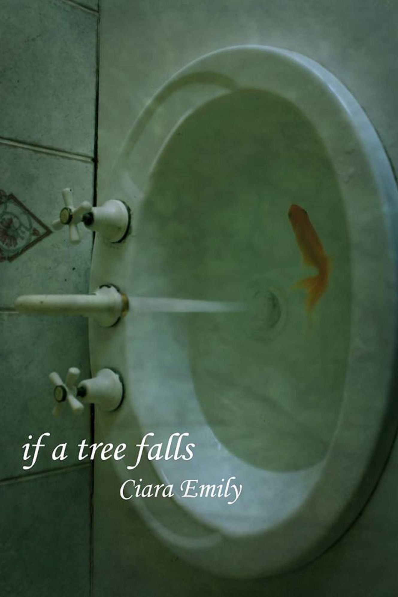 If a Tree Falls