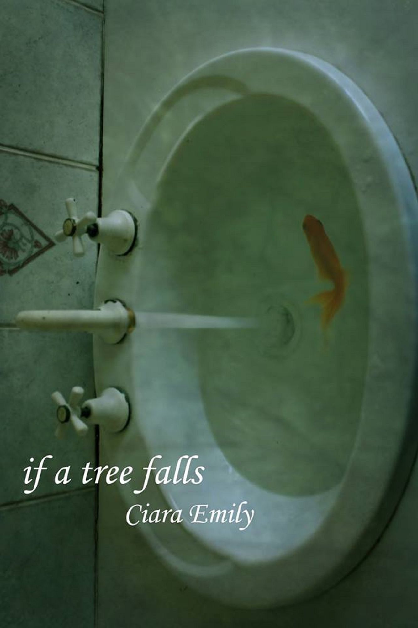 If a Tree Falls