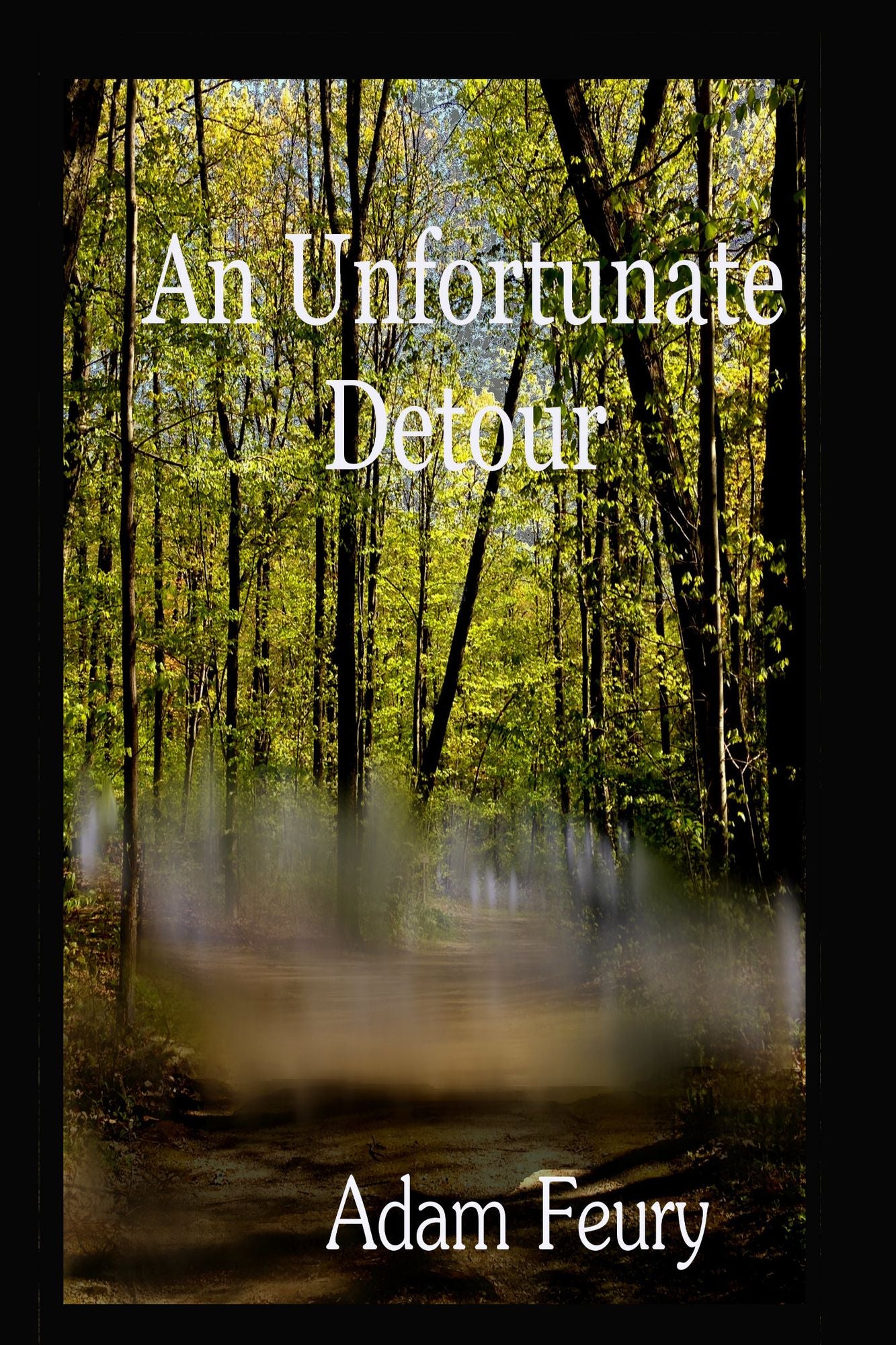 An Unfortunate Detour