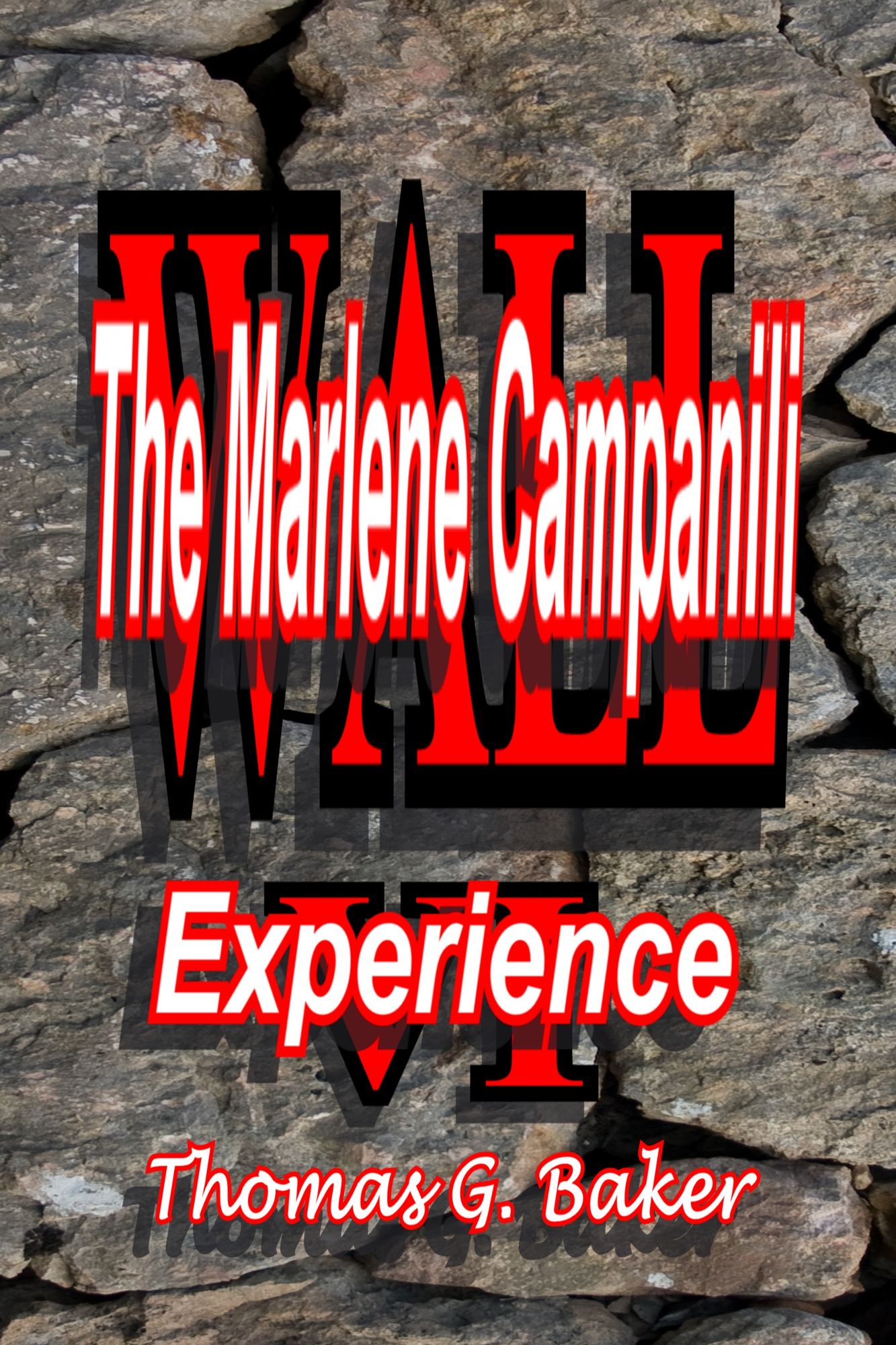 Wall VI The Marlene Campanili Experience