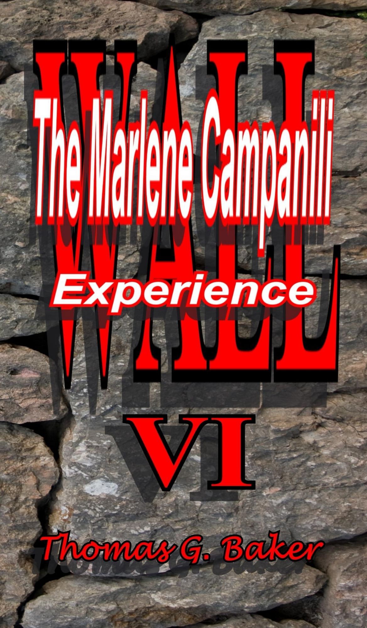 Wall VI The Marlene Campanili Experience