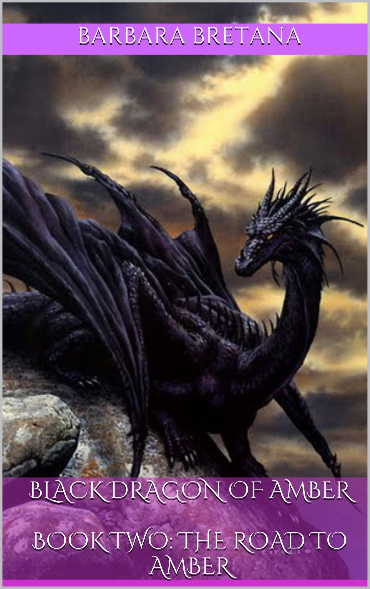Black Dragon of Amber Book Two: The Road to Amber