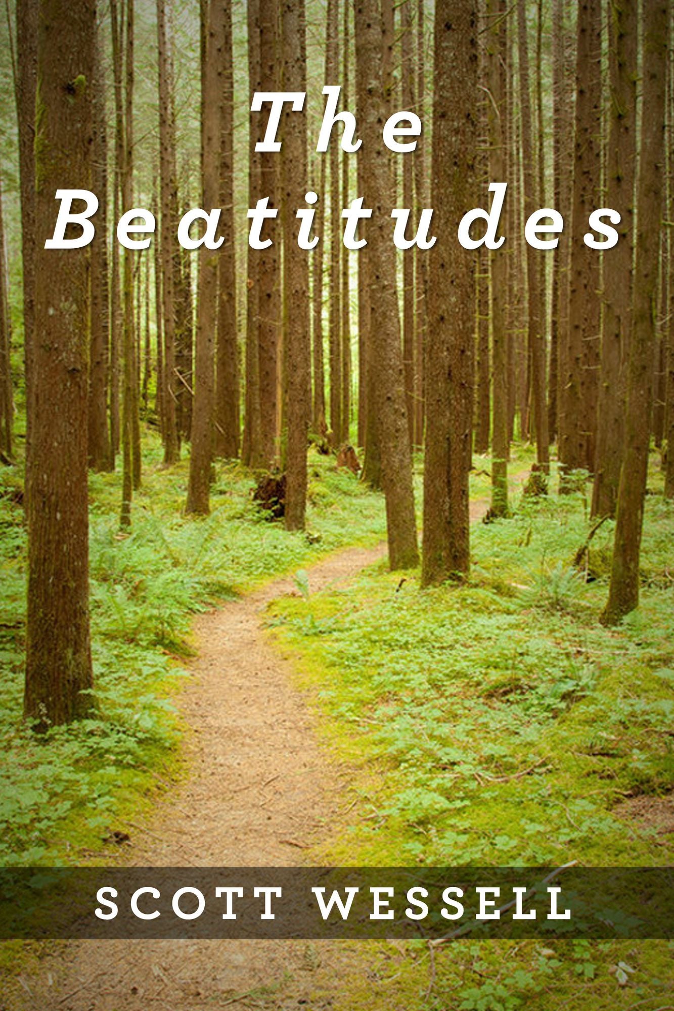 The Beatitudes