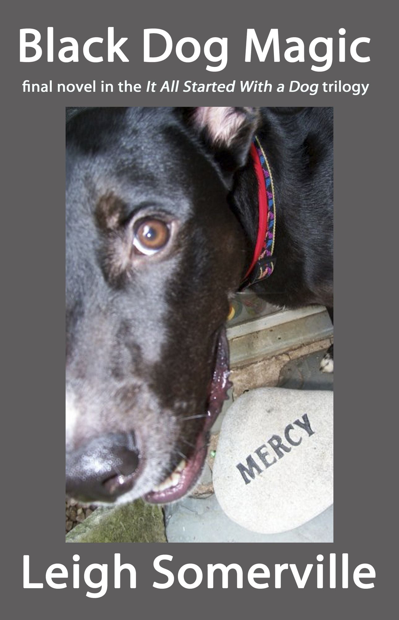 Black Dog Magic