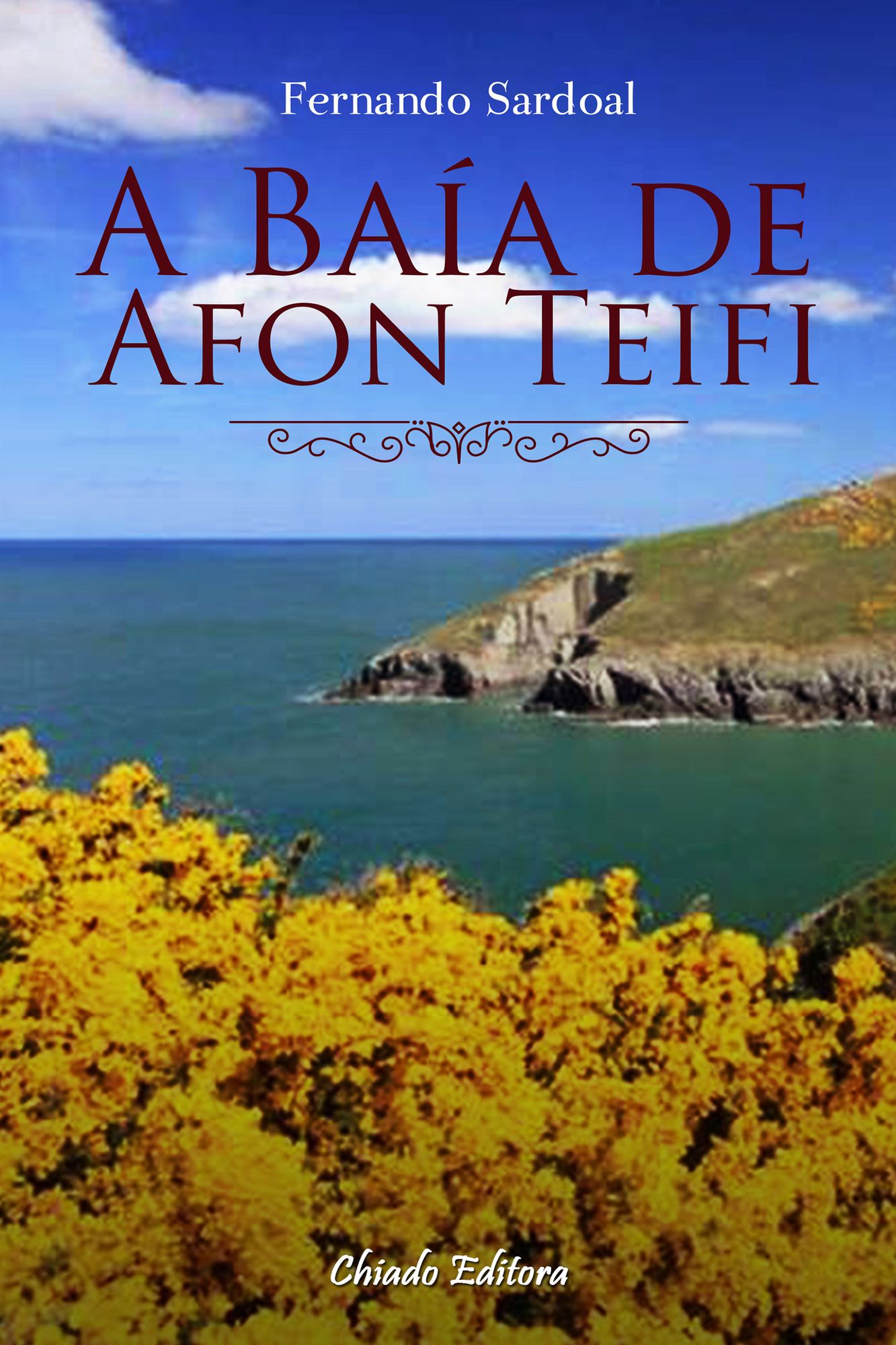 A Baía de Afon Teifi