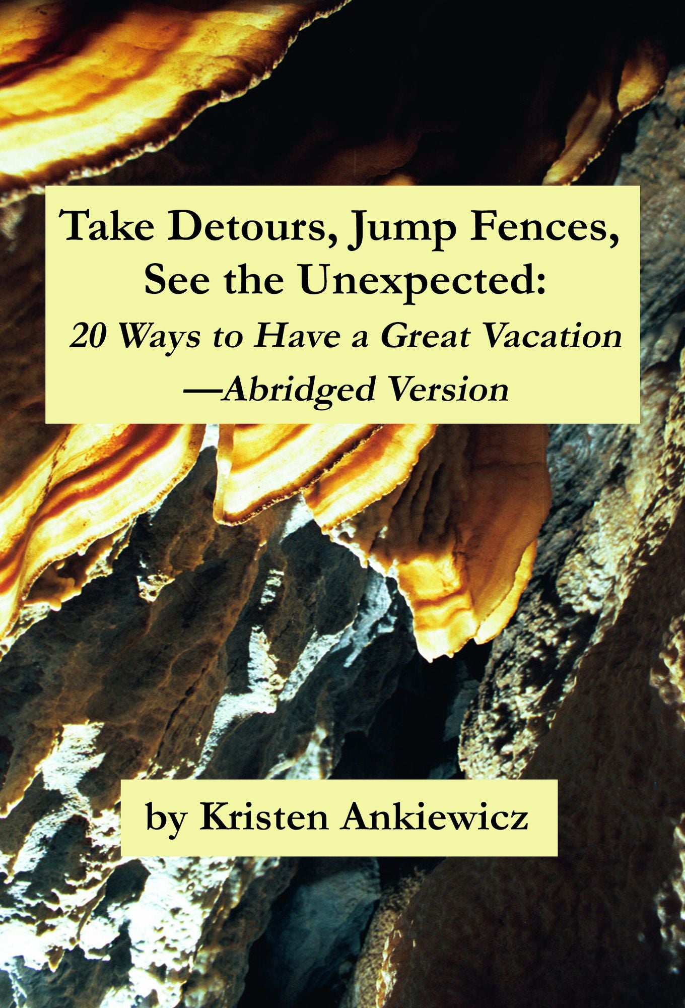 Take Detours, Jump Fences, See the Unexpected: 20 Ways to Have a Great Vacation-Abridged Version