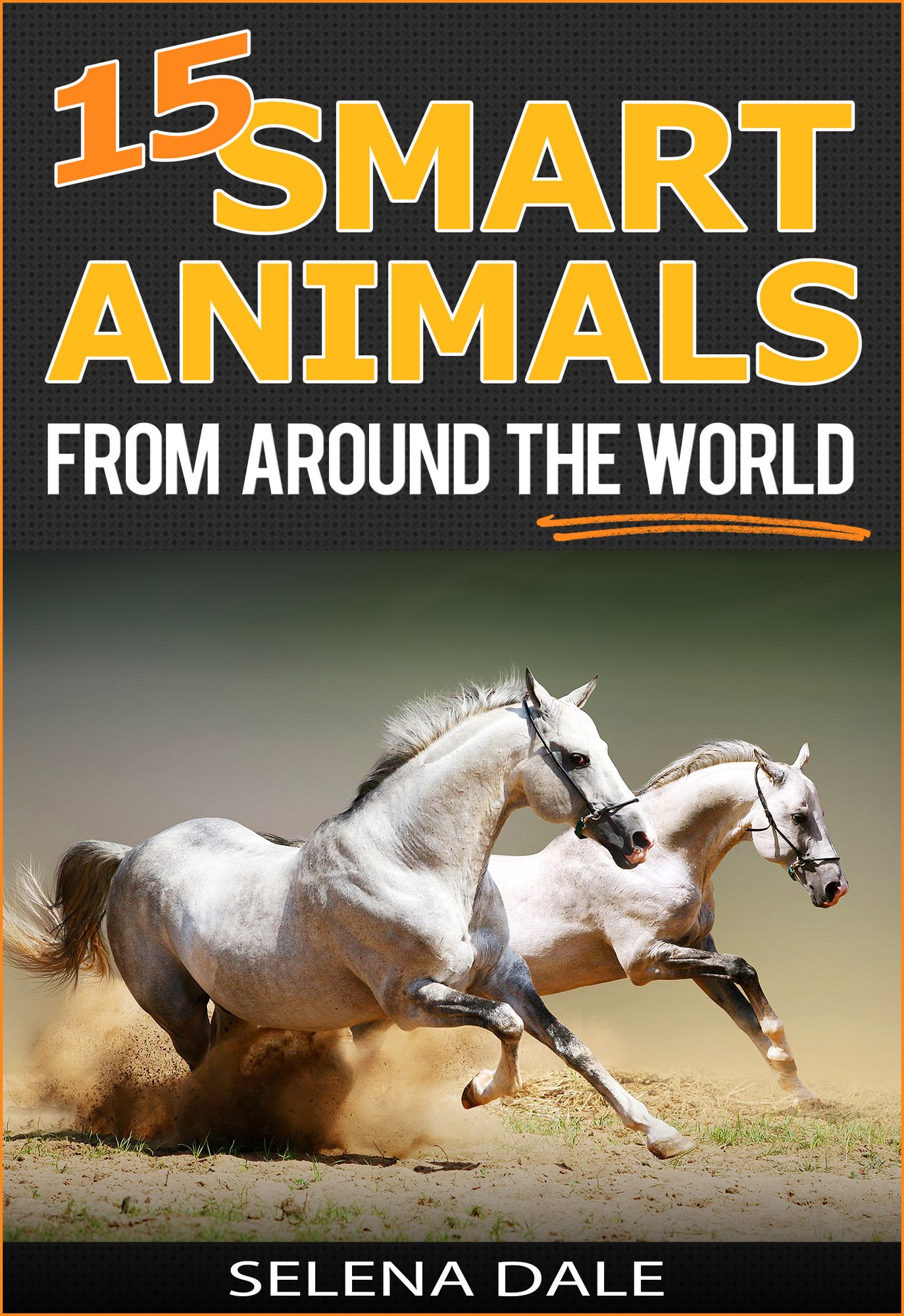 15 Smart Animals From Around The World