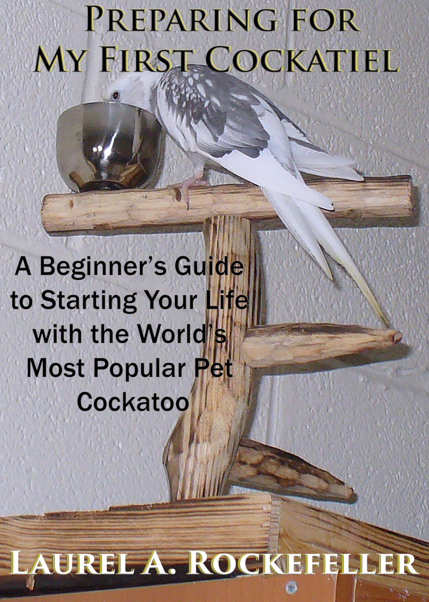 Preparing For My First Cockatiel