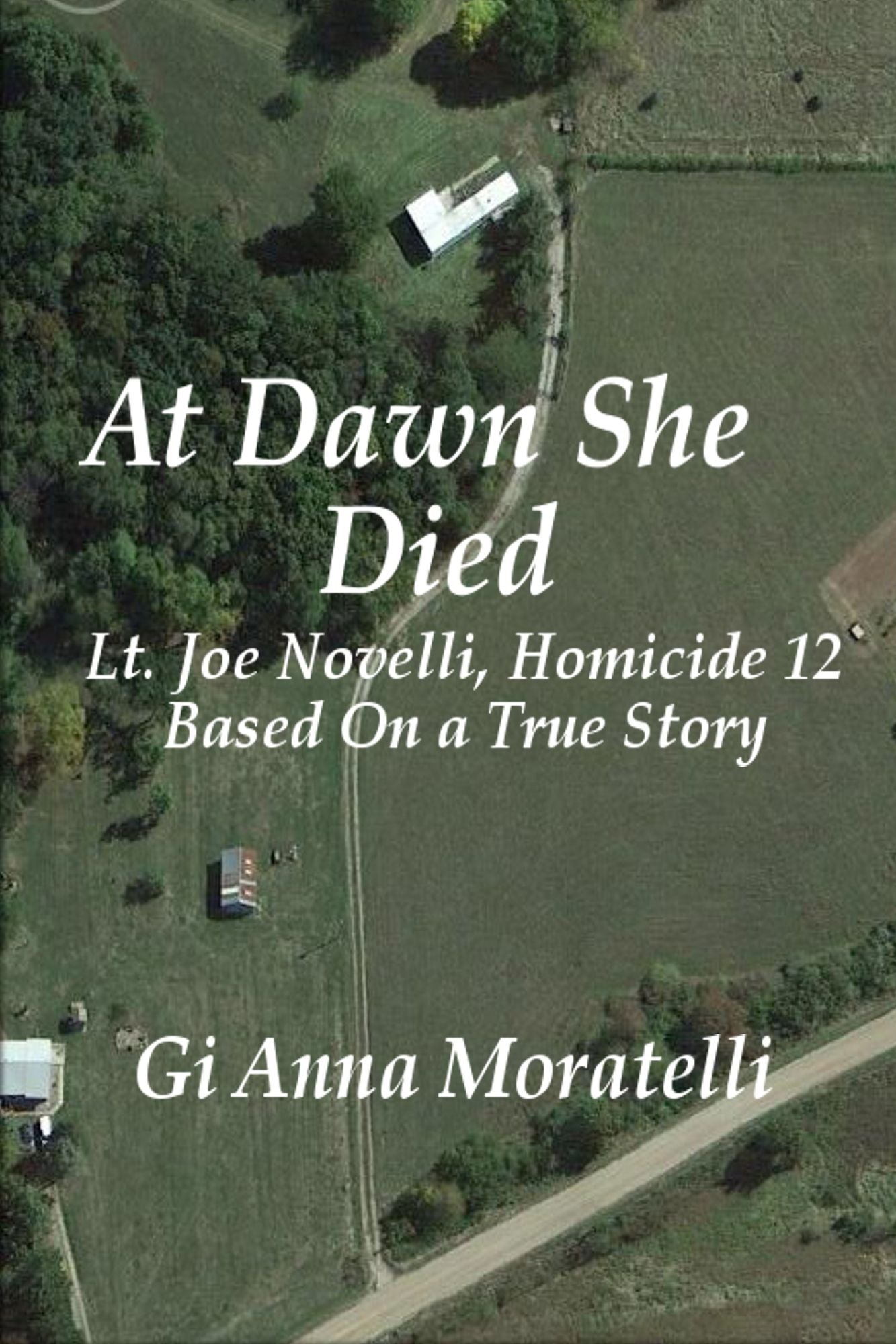 At Dawn She Died: Lt. Joe Novelli, Homicide 12, Based On a True Story