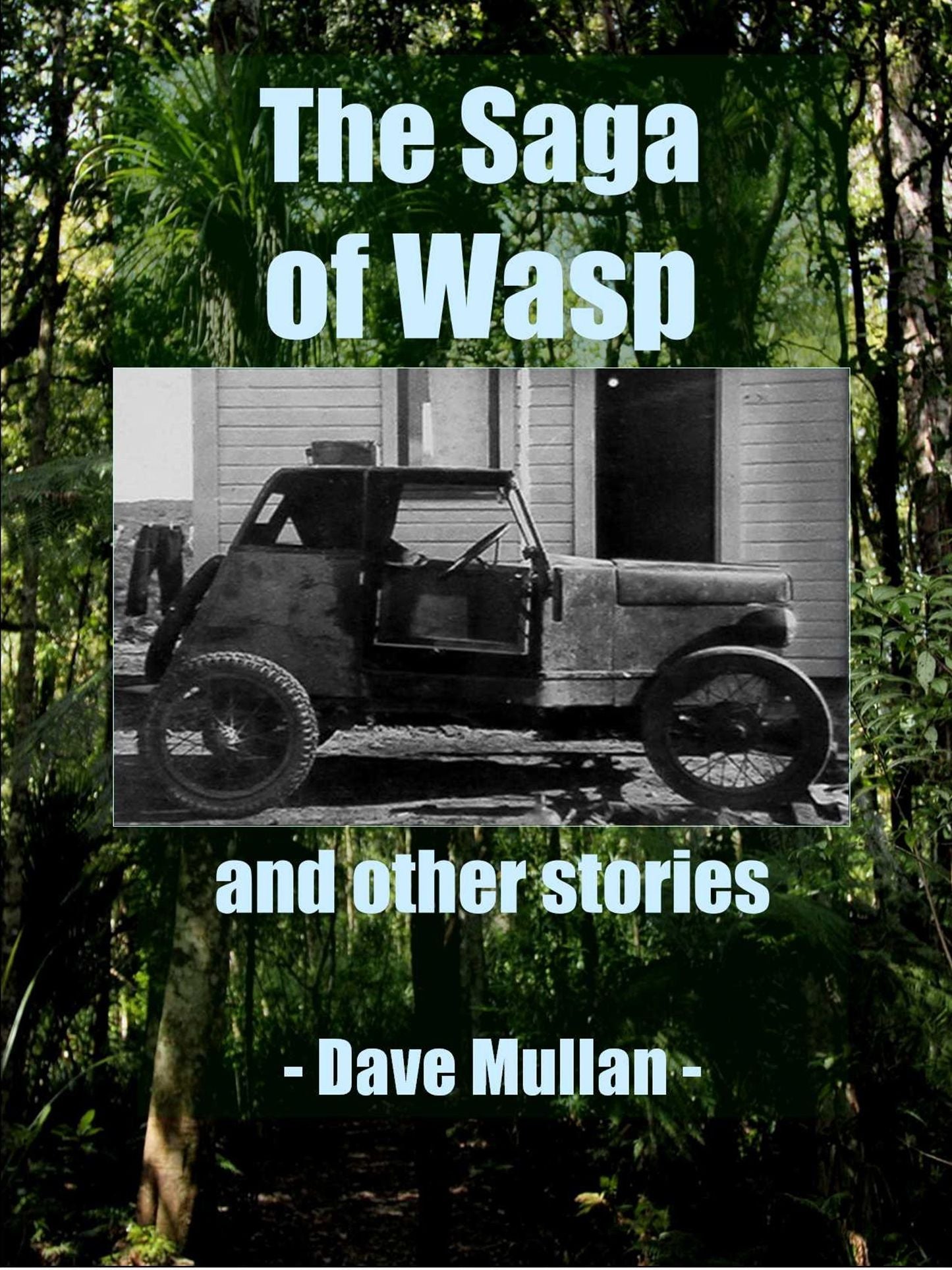 The Saga of Wasp and other Stories