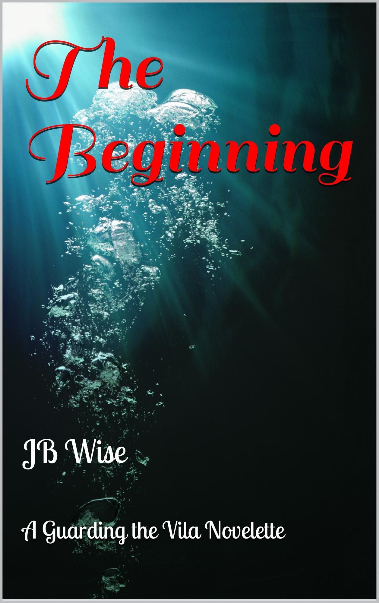 The Beginning: A Guarding the Vila Novelette