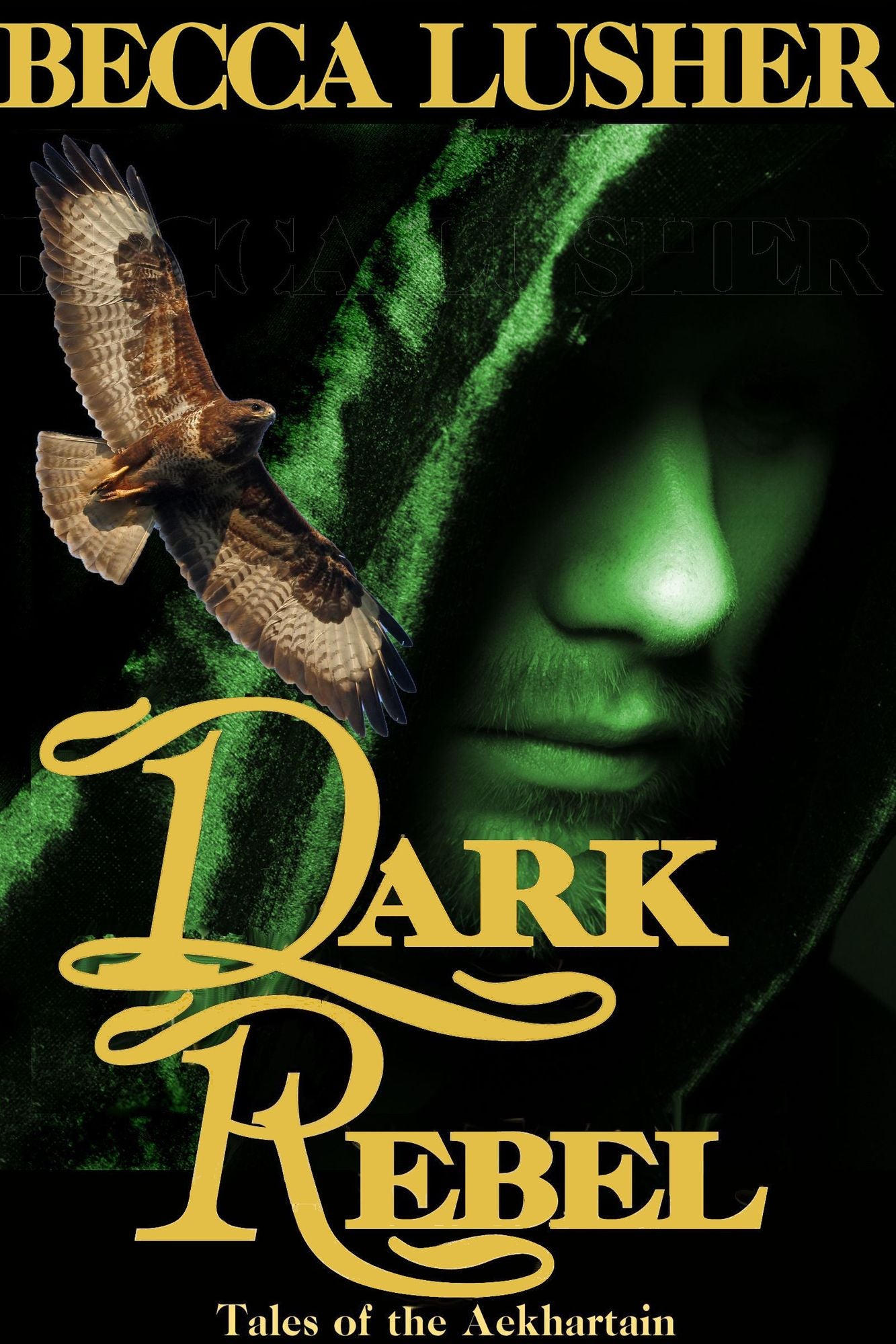 Dark Rebel