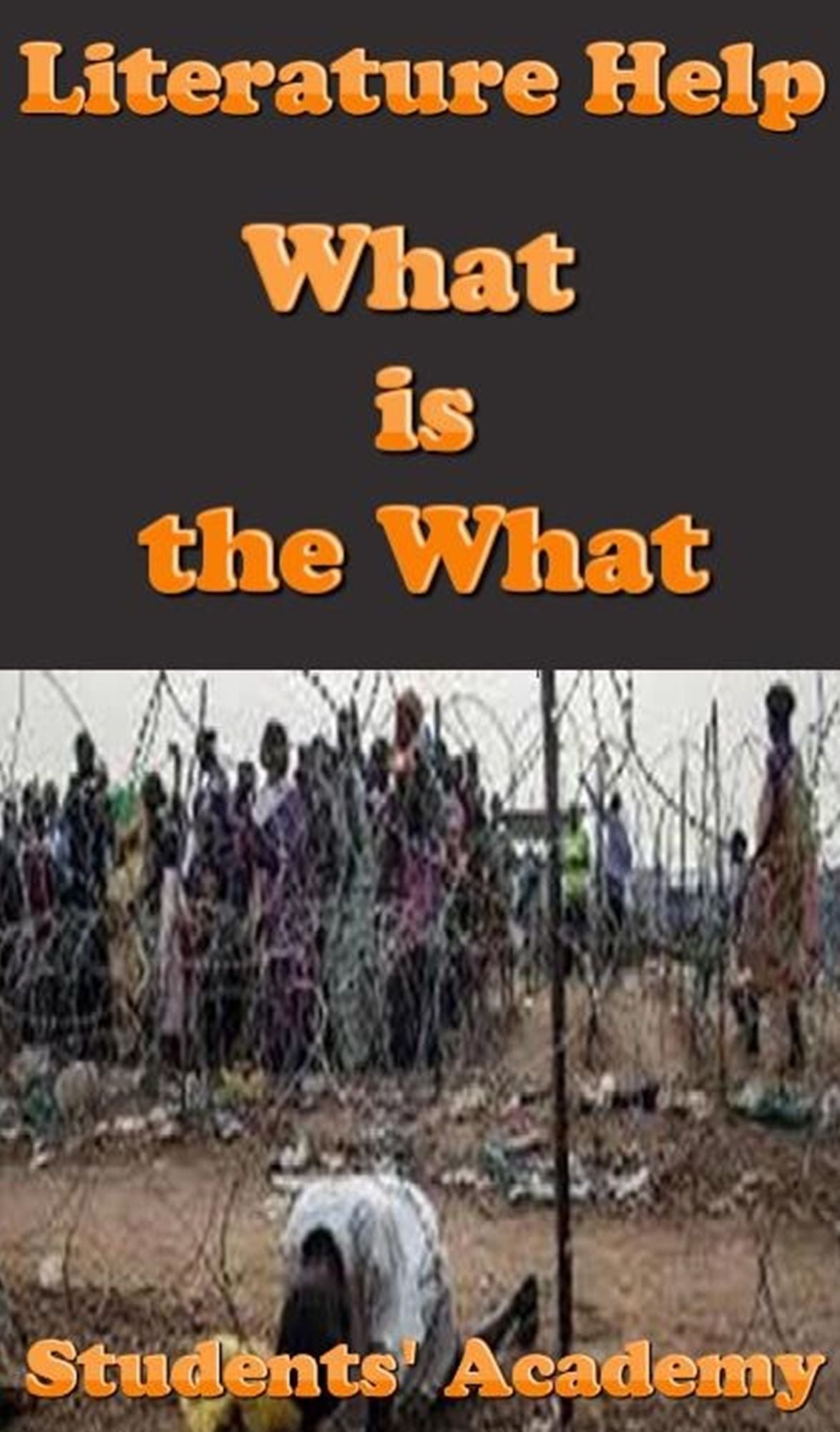 Literature Help: What Is the What