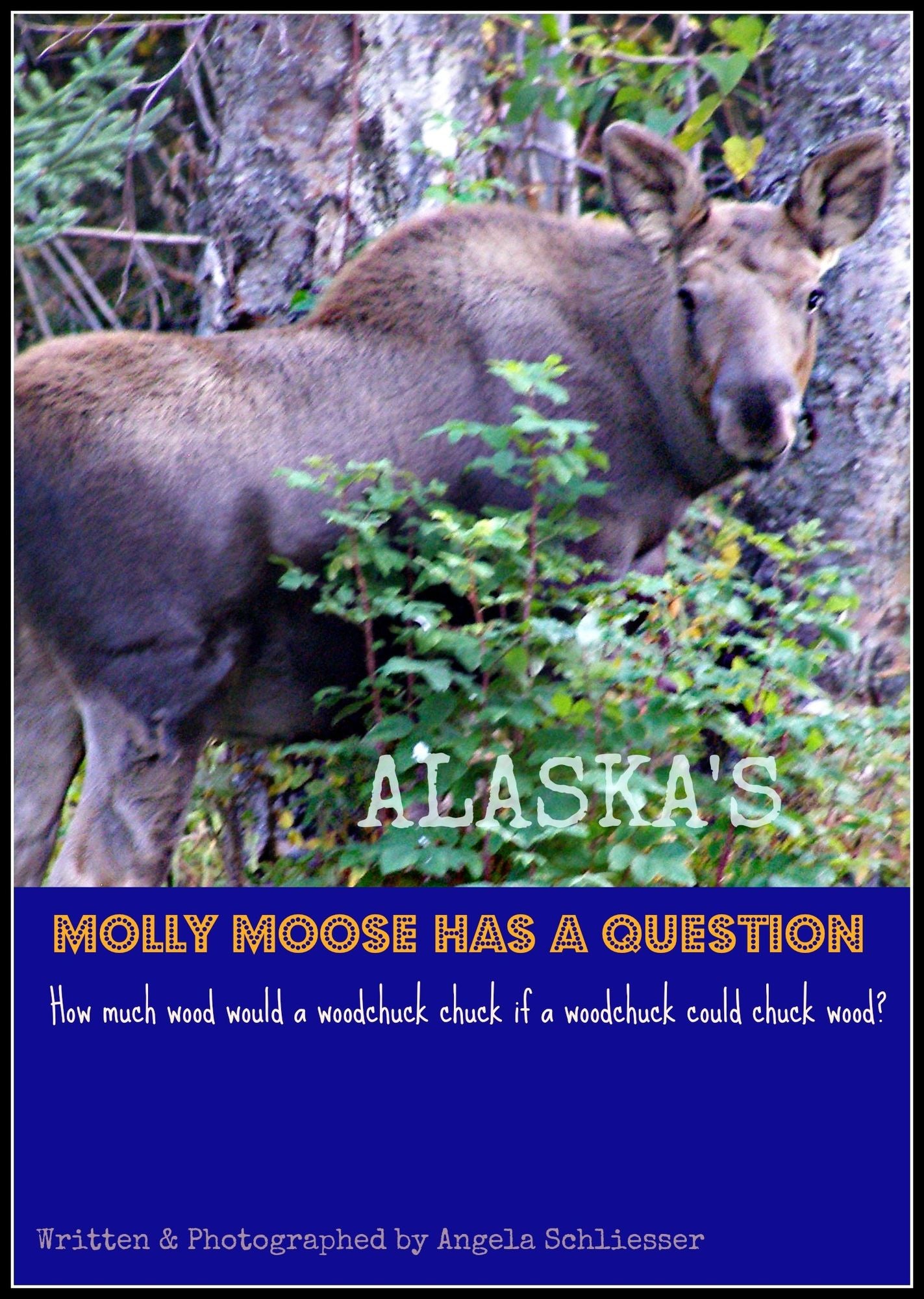 Alaska's Molly Moose Has A Question