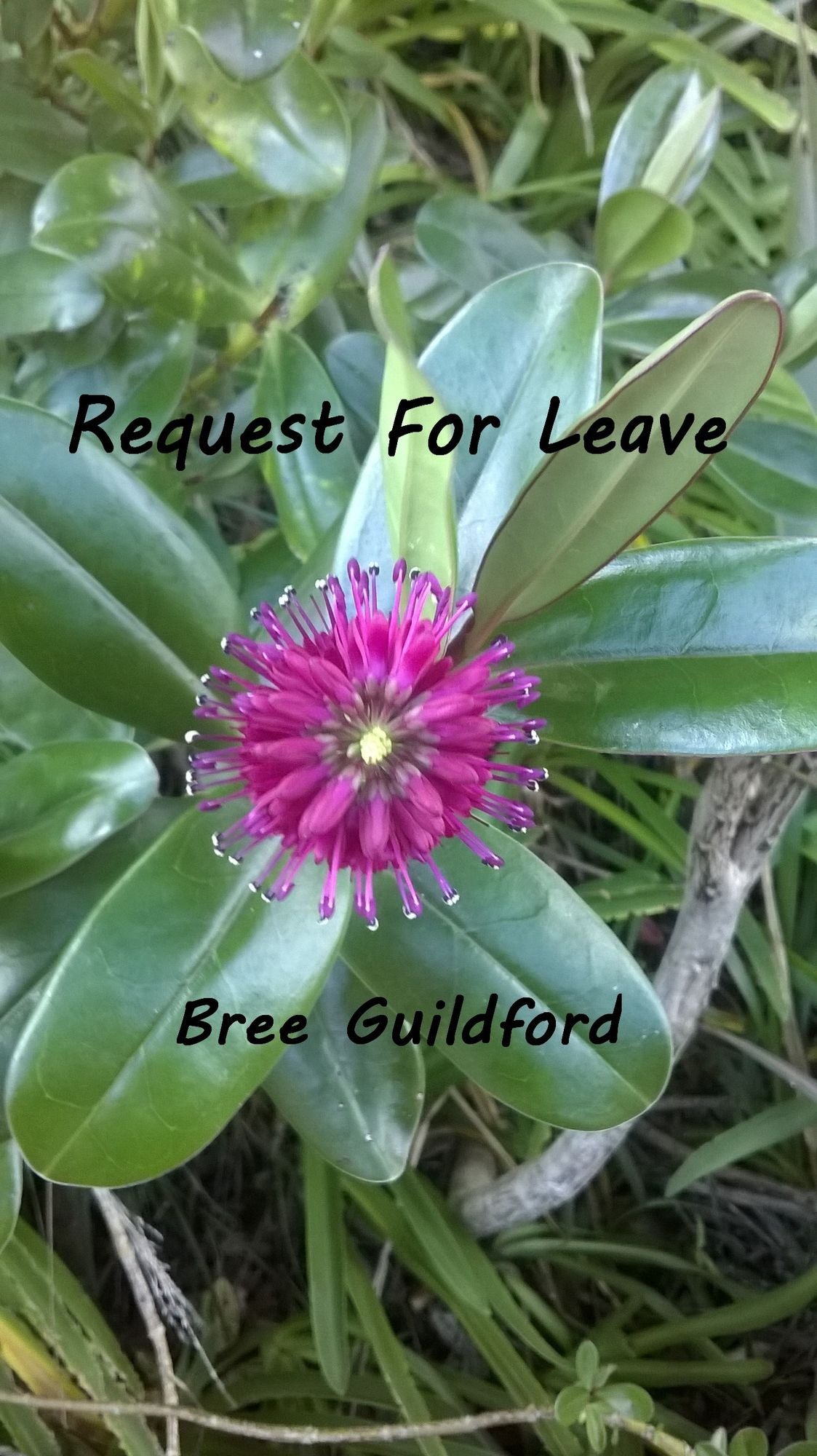 Request For Leave