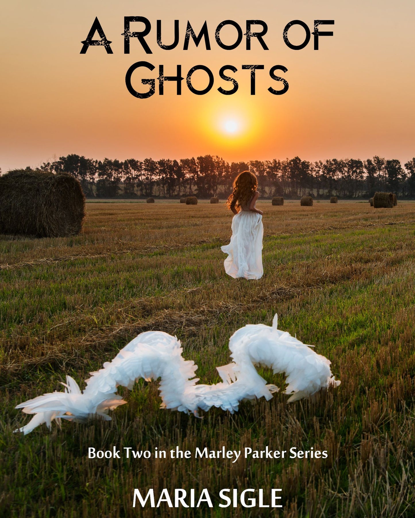 Marley Parker and A Rumor of Ghosts