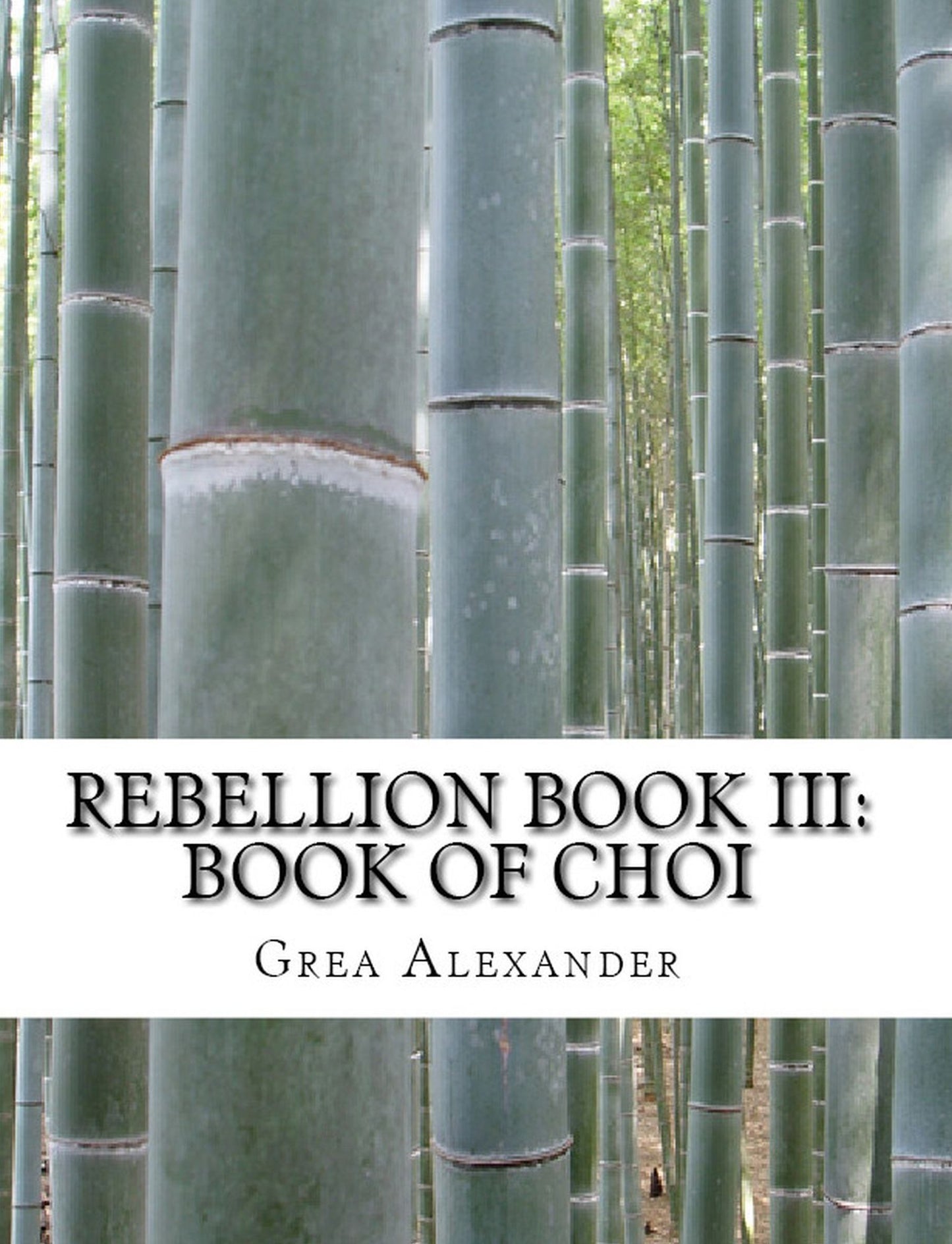 Rebellion Book III: Book of Choi