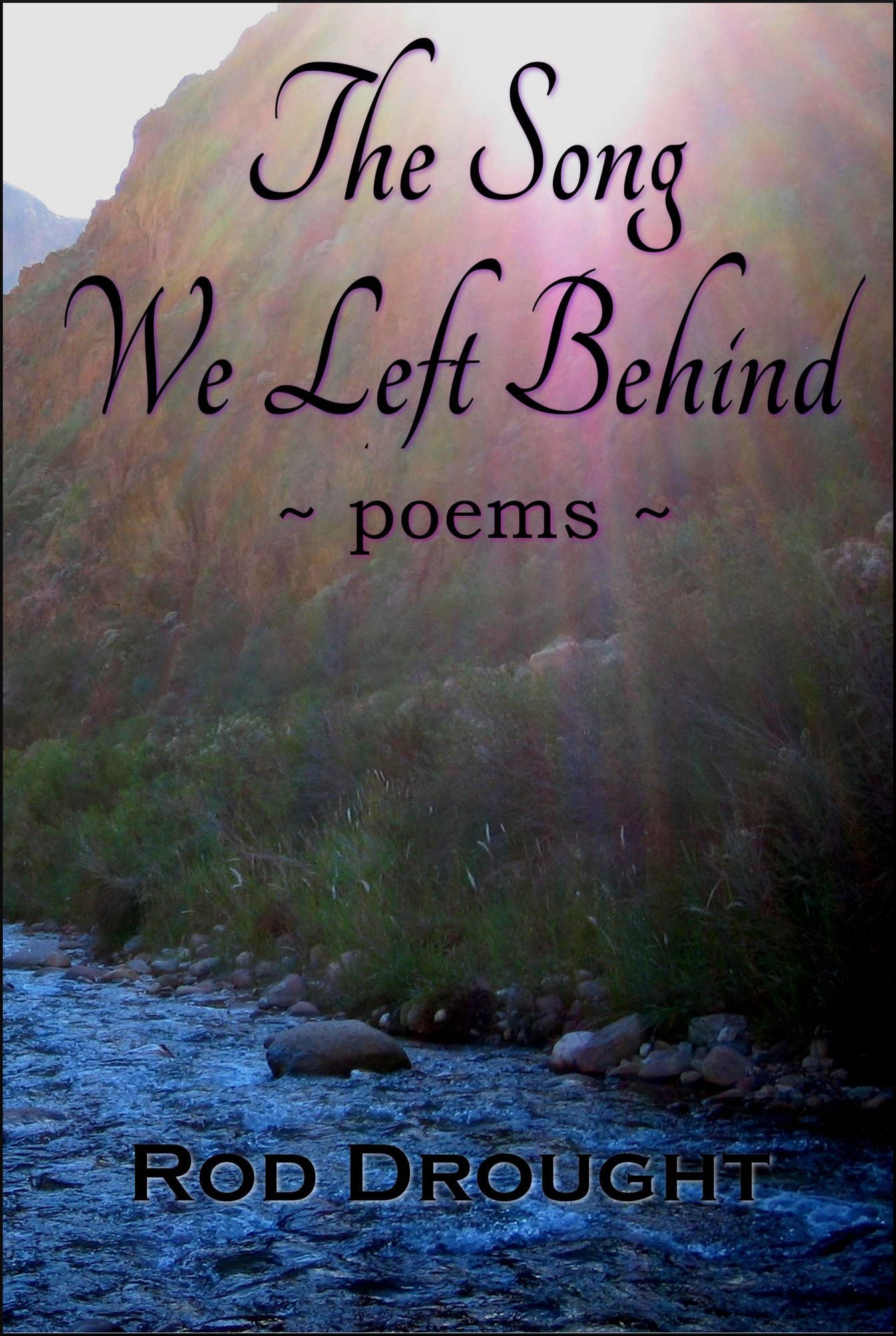The Song We Left Behind
