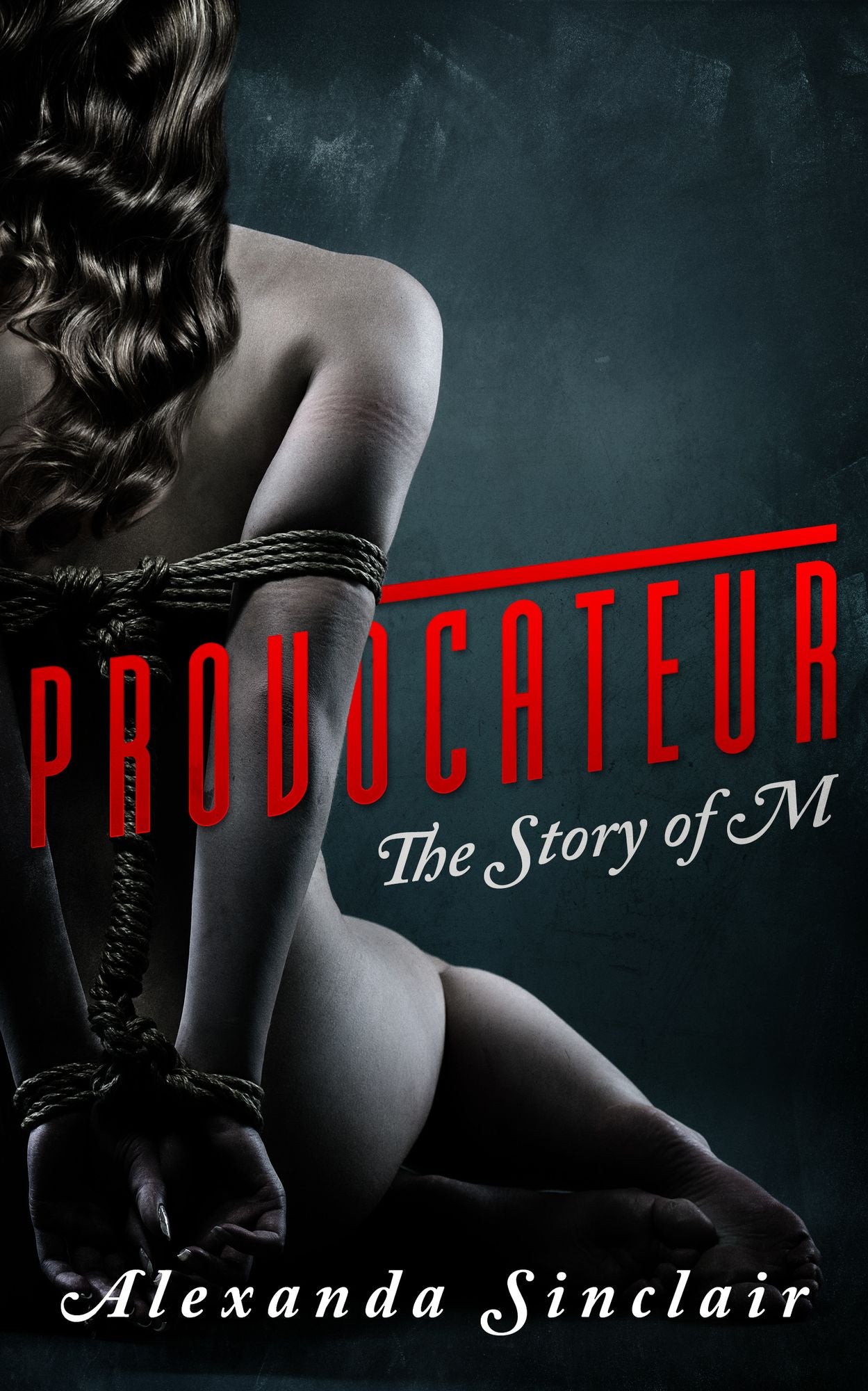 Provocateur The Story of M