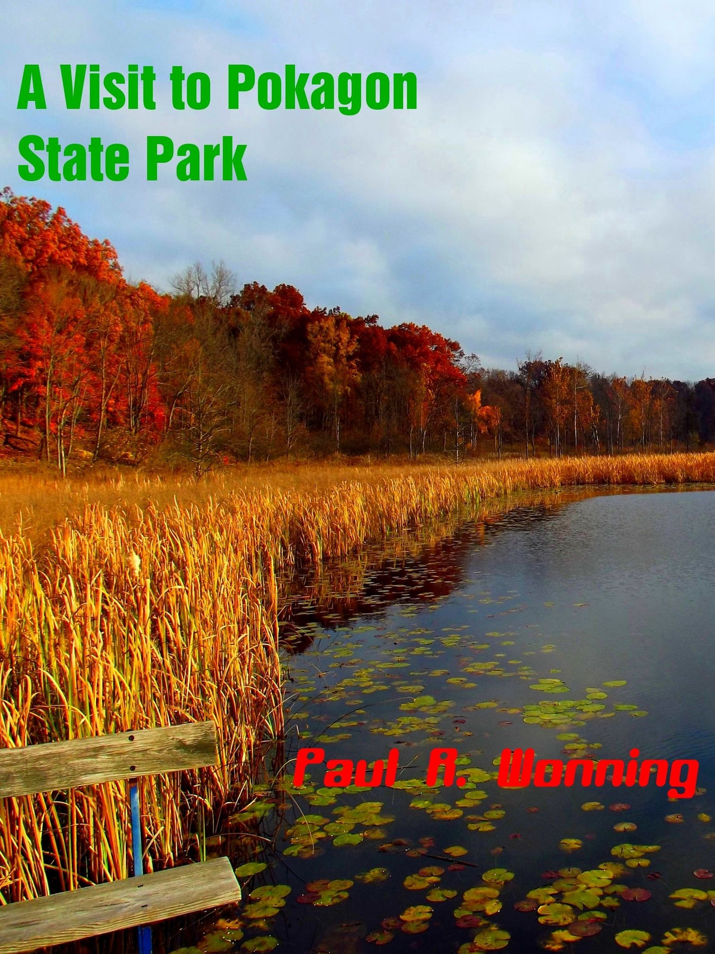 A Visit to Pokagon State Park