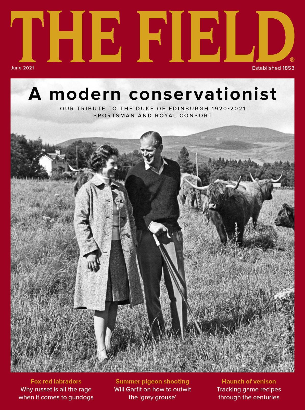 The Field - UK edition