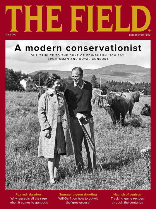 The Field - UK edition