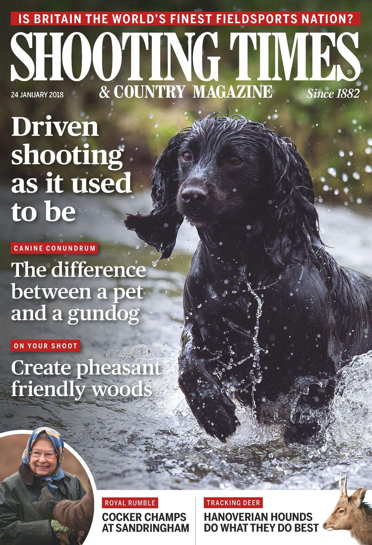 Shooting Times & Country - UK edition