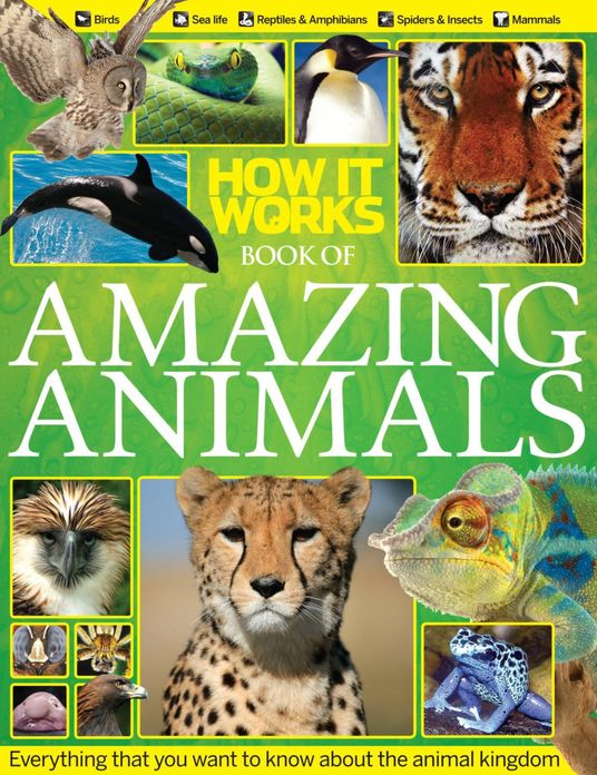 How It Works- Book of Amazing Animals 2013